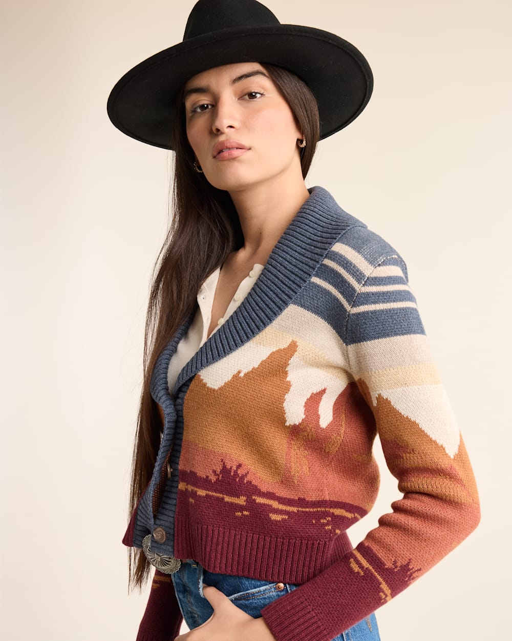 Pendleton Western Scenic Cardigan in Blue/ Rust Multi