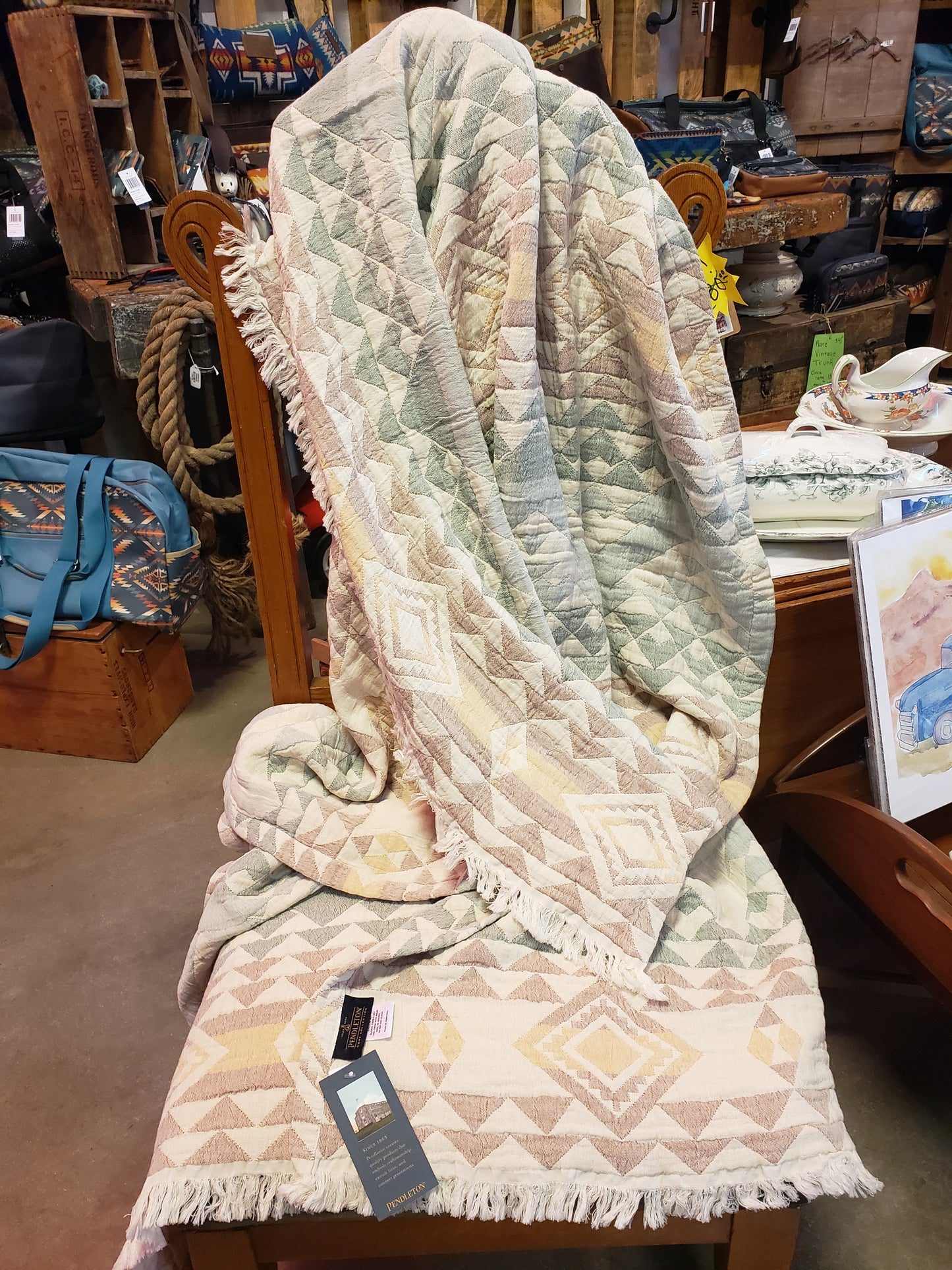 Pendleton Fringed Cotton Throw