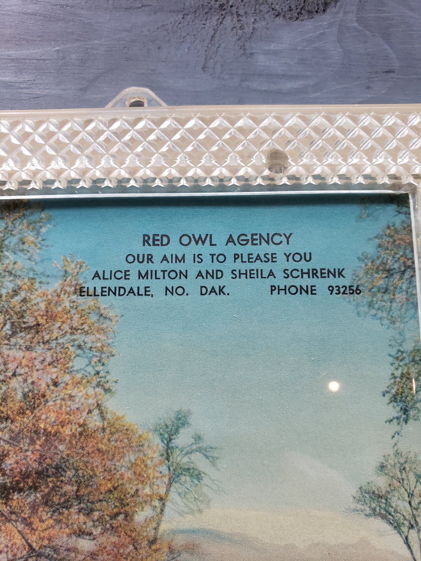 Ad in Lucite Frame for Red Owl Agency, Ellendale ND