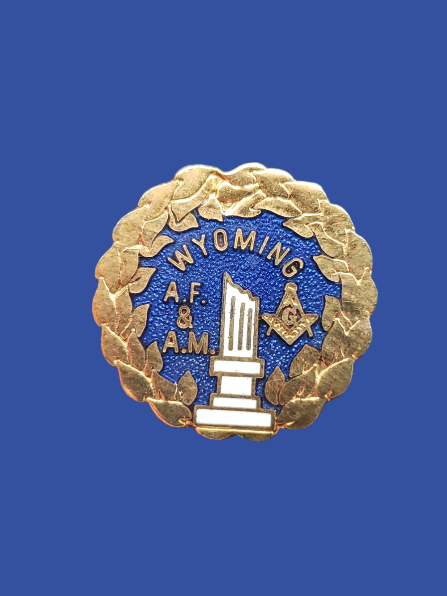 Wyoming Mason's pin