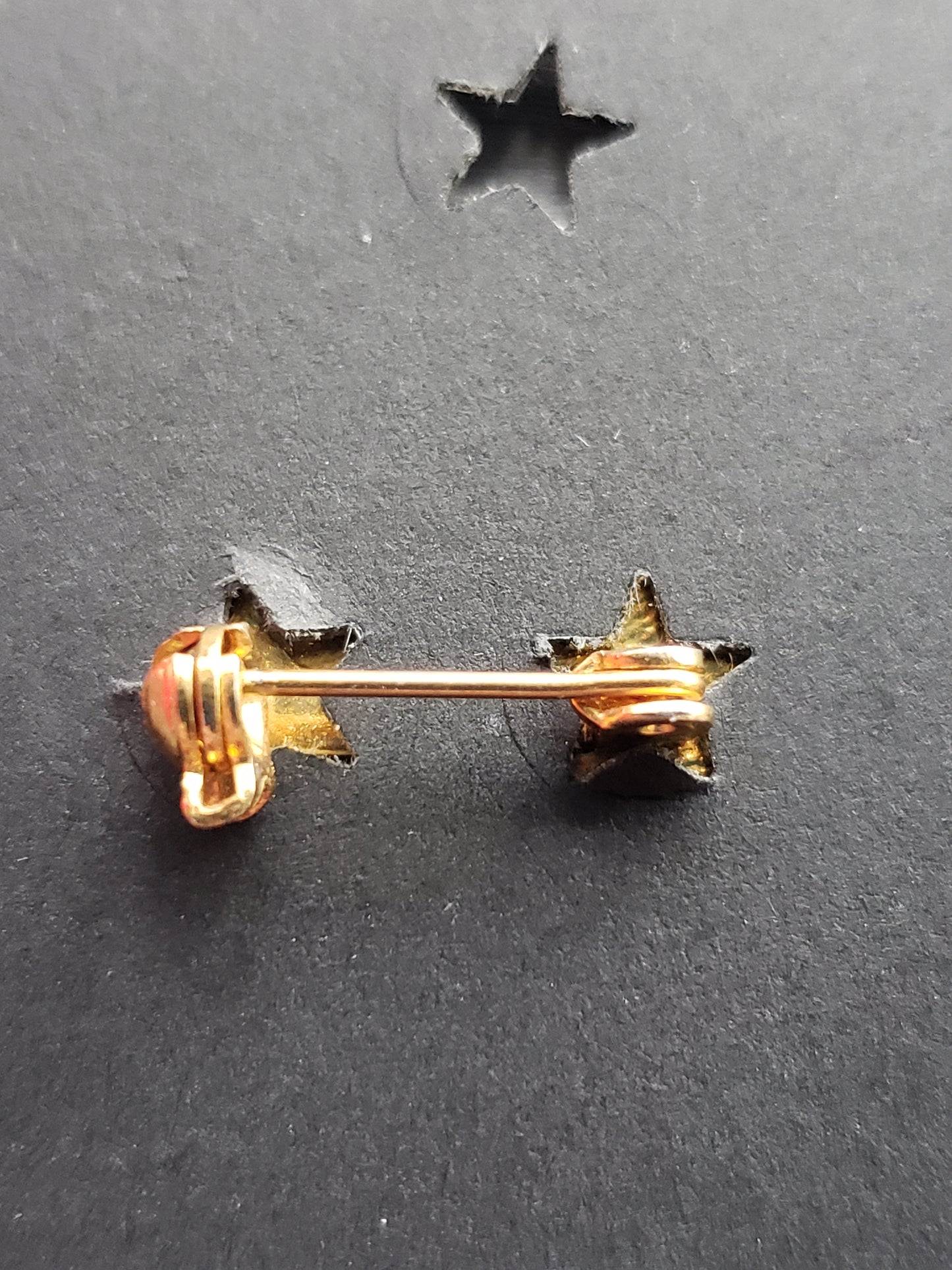 Wyoming Mason's pin
