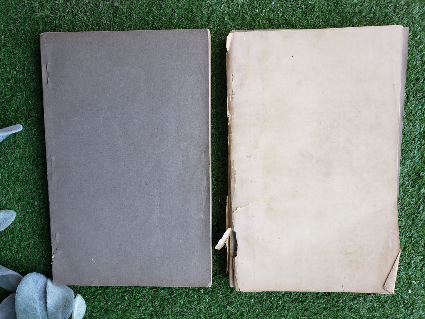 Cornell Rural School Leaflet (BOOK SET) 1913-1915