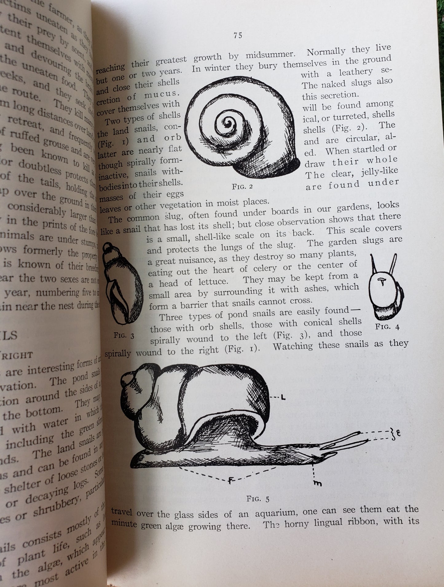 Cornell Rural School Leaflet (BOOK SET) 1913-1915