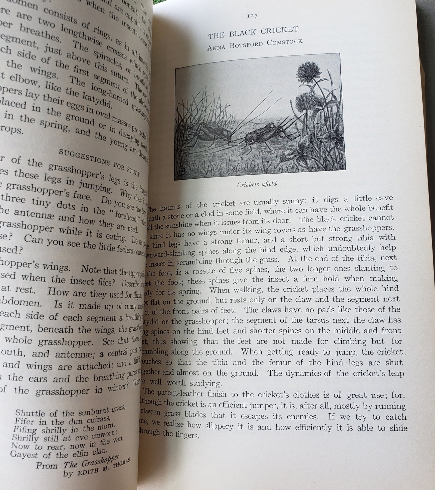 Cornell Rural School Leaflet (BOOK SET) 1913-1915