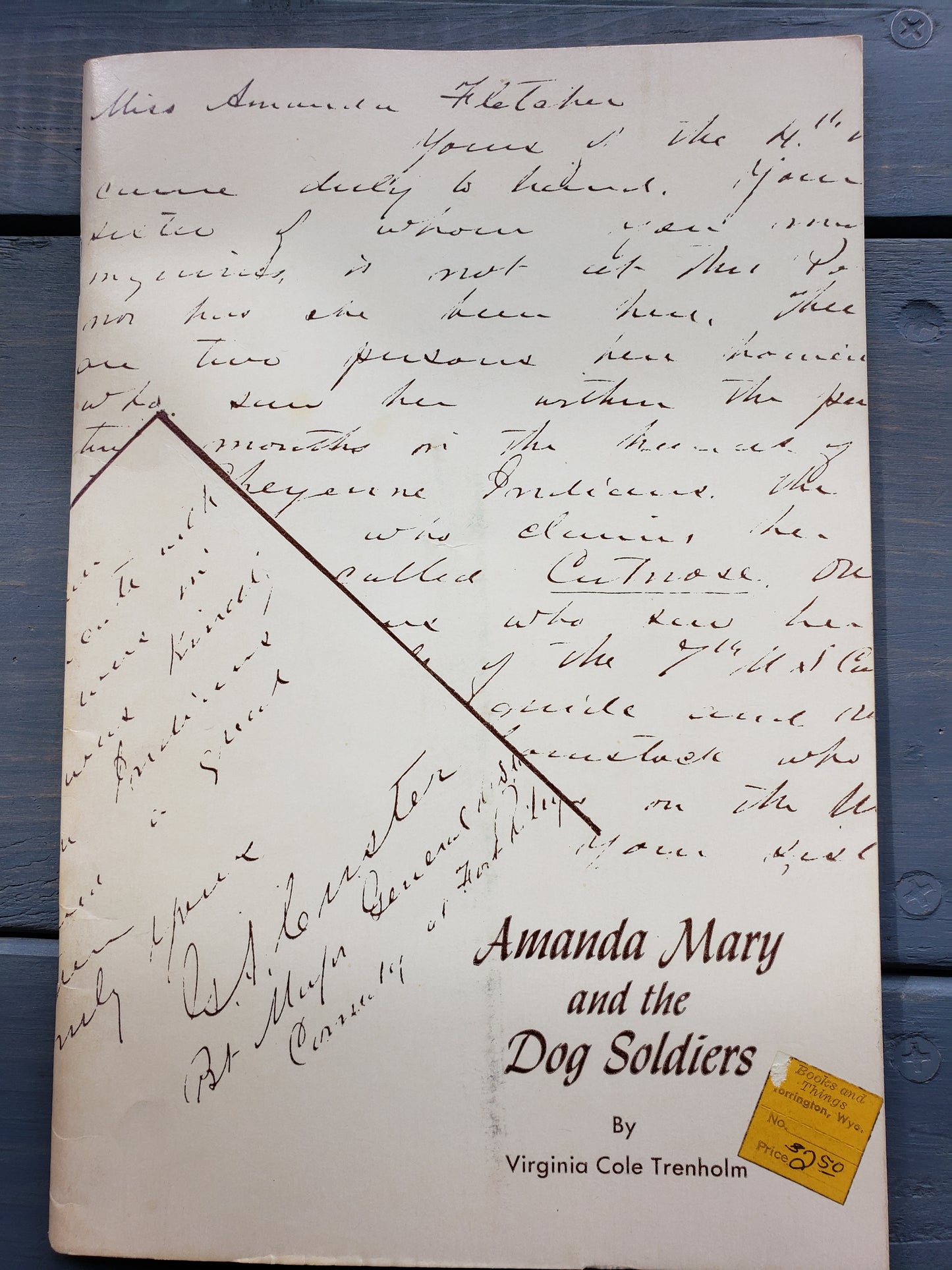 Amanda Mary and the Dog Soldiers by Virginia Cole Trenholm