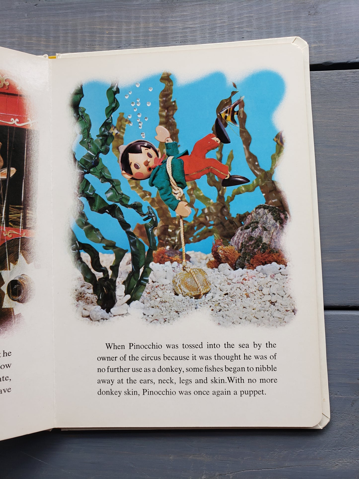Pinnochio (board book) 1970