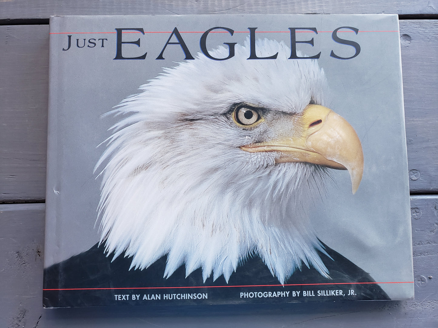 Just Eagles by Alan Hutchinson