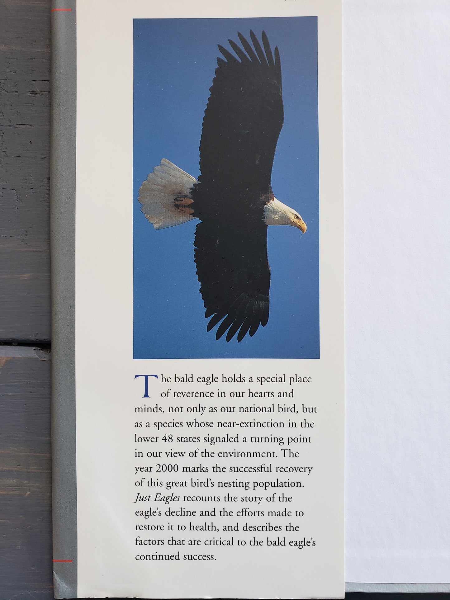 Just Eagles by Alan Hutchinson