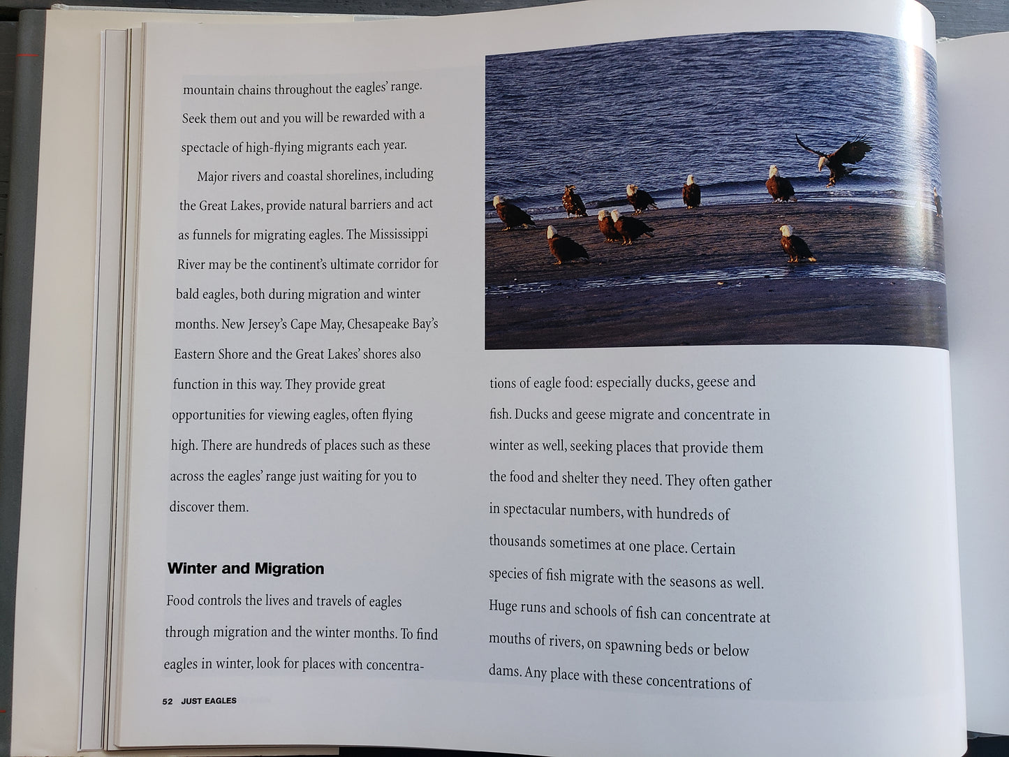 Just Eagles by Alan Hutchinson