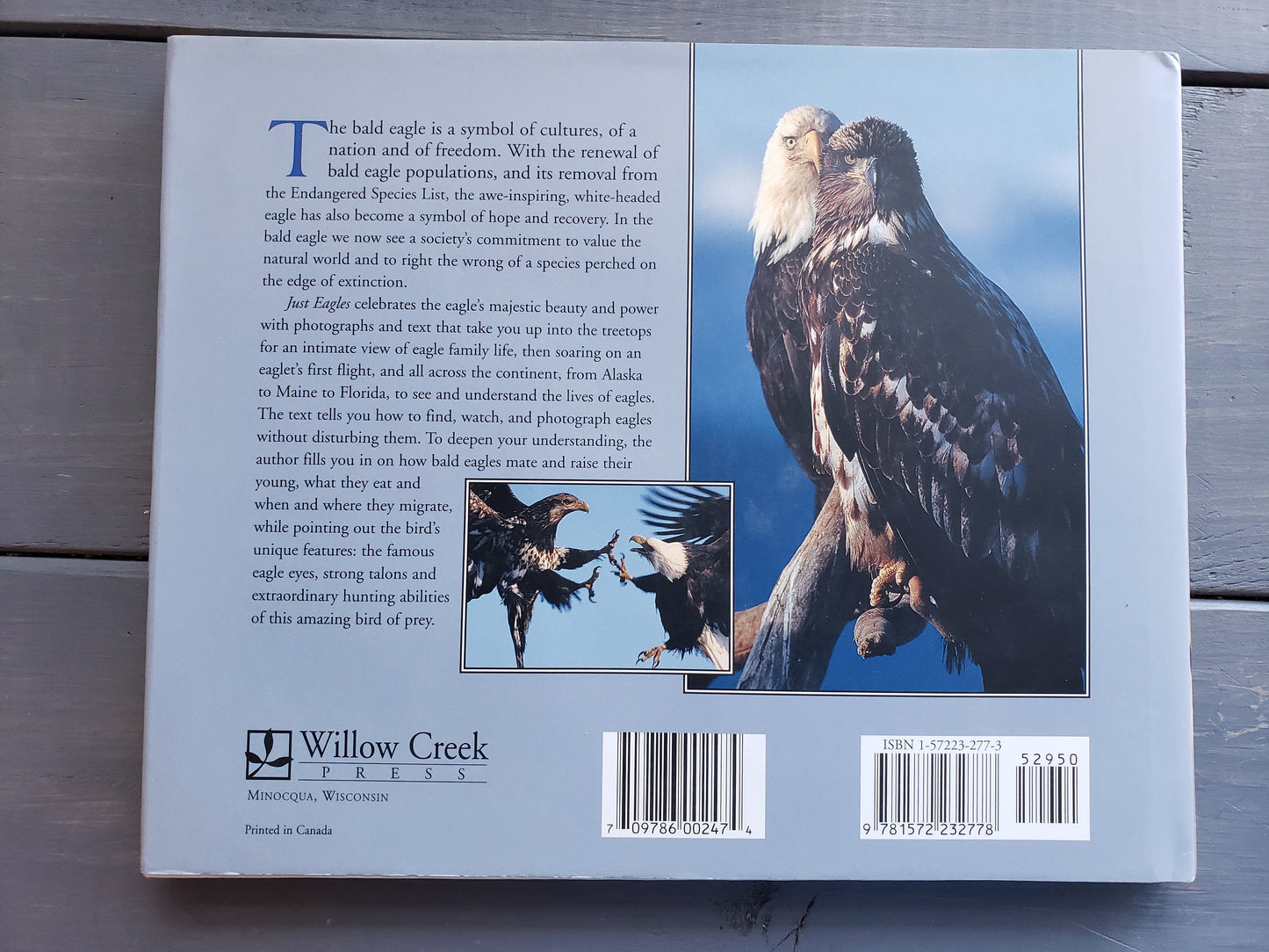 Just Eagles by Alan Hutchinson