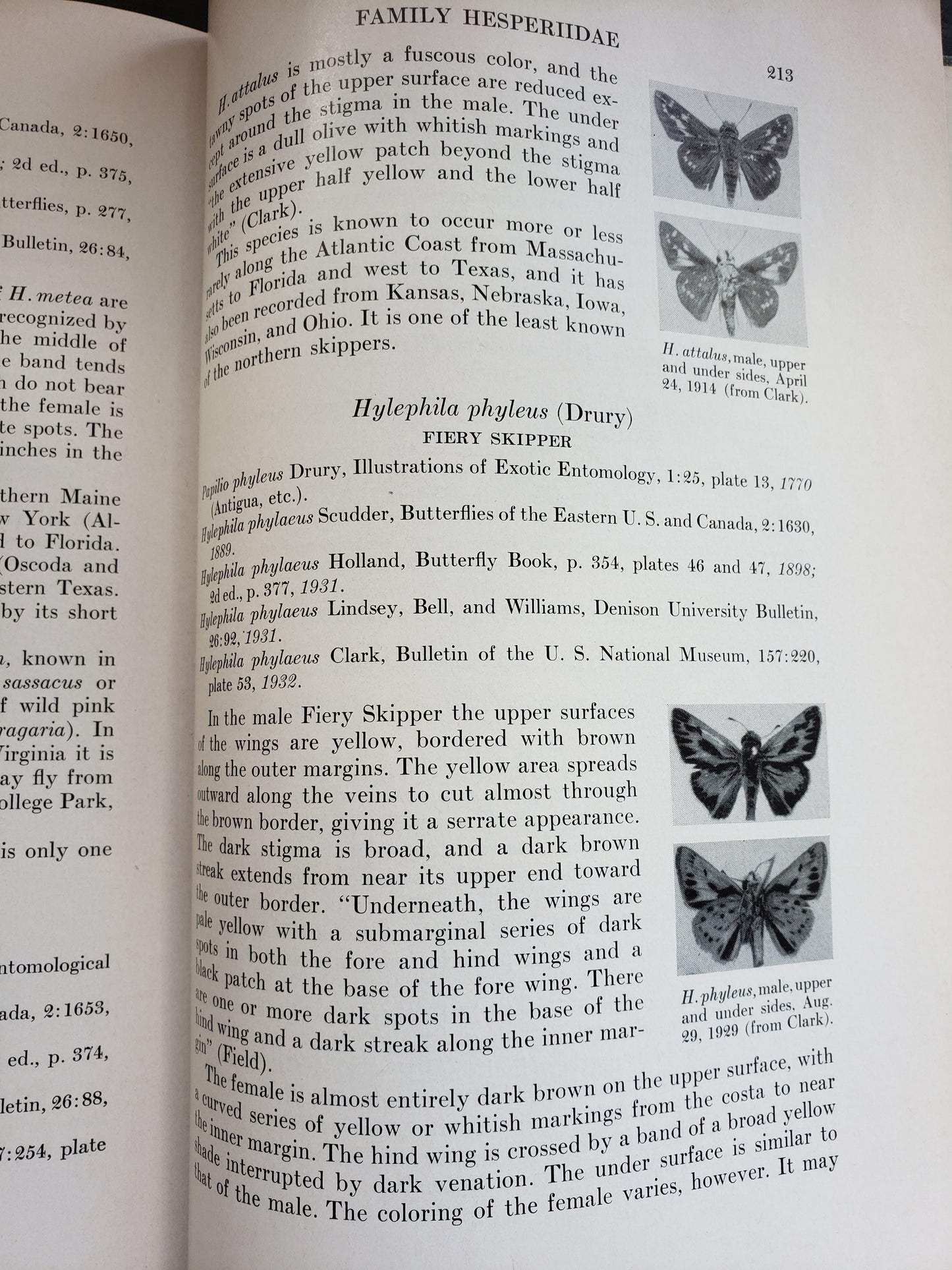 Butterflies (1941)