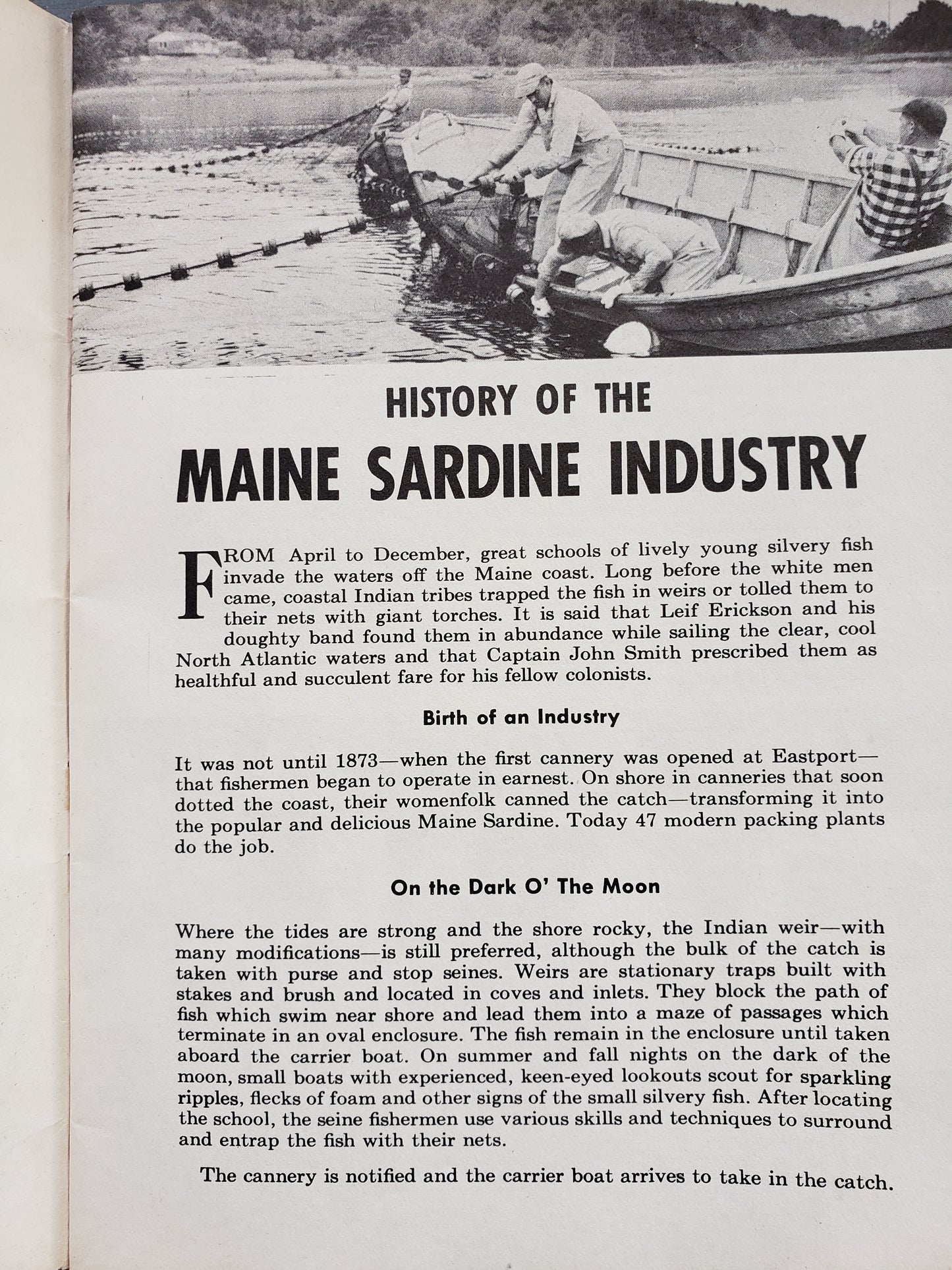 Maine Sardines cookbook
