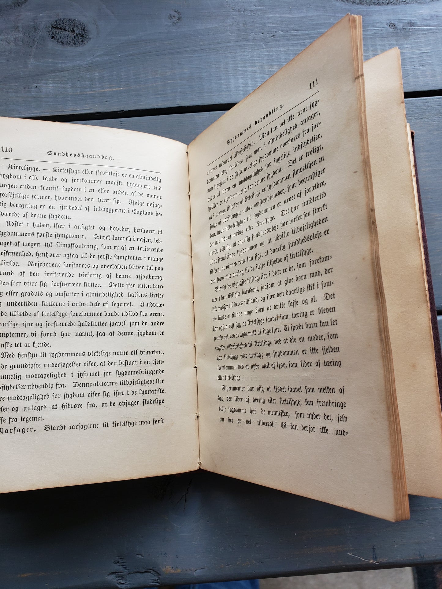 Sundhedshaandbog (1888) Health handbook for Home