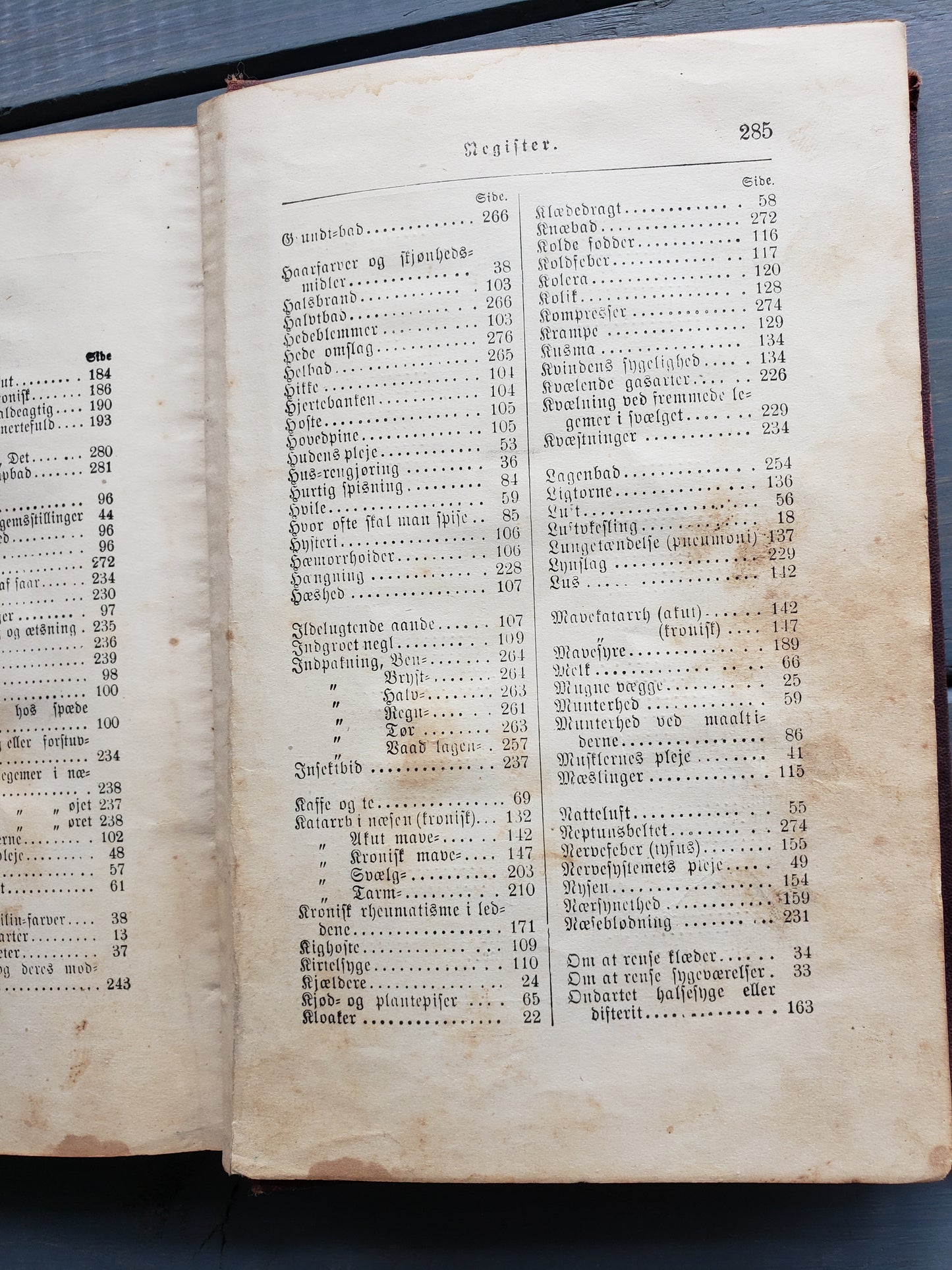 Sundhedshaandbog (1888) Health handbook for Home