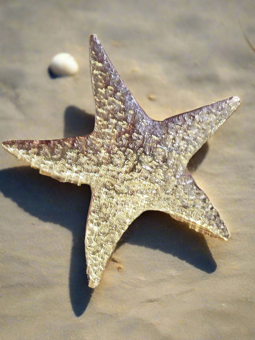 Brass Decorative Starfish wall hang
