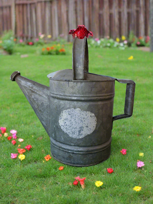 Galvanized watering can