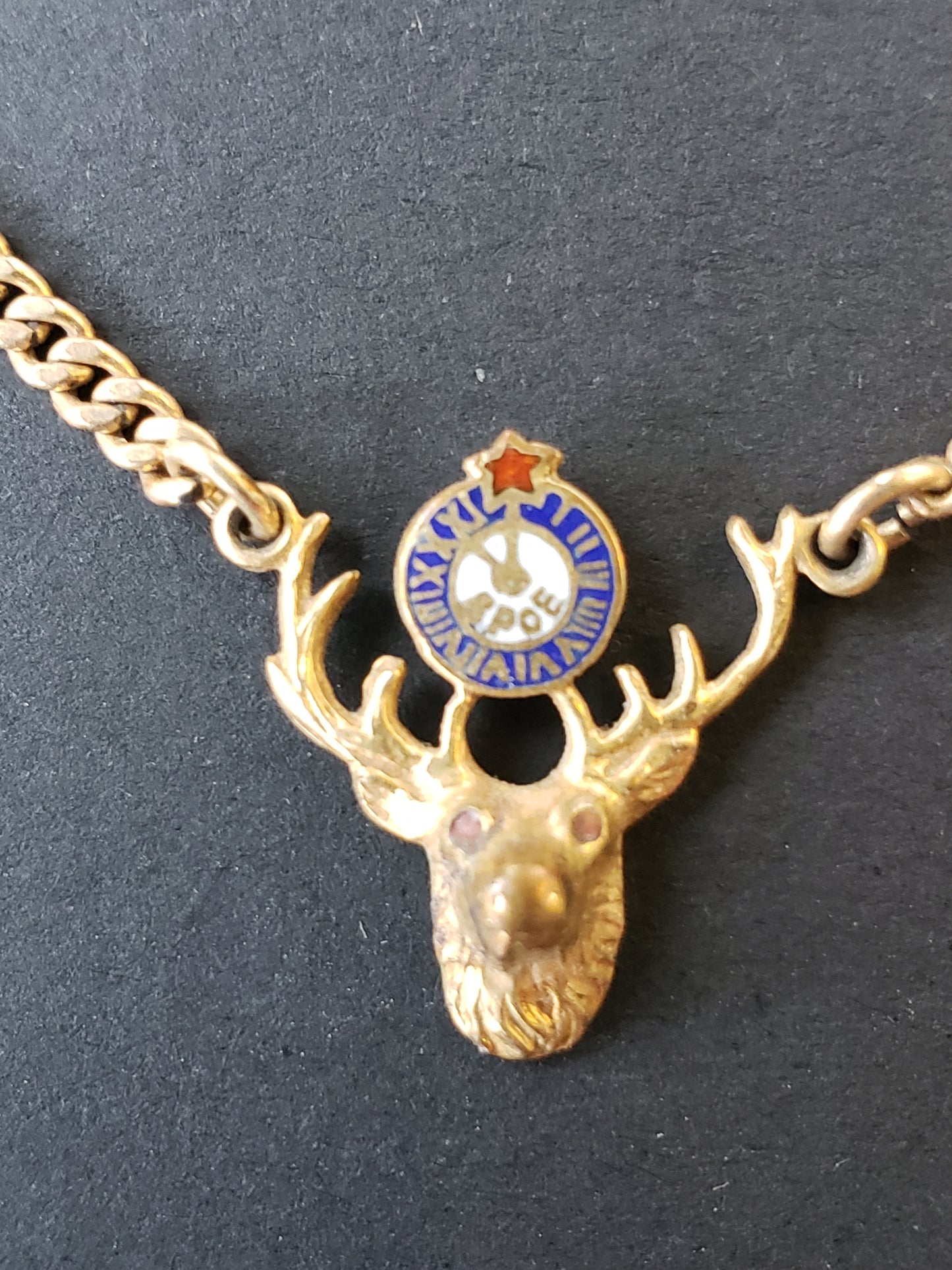 Masonic Tie clip 1/20 12K Elk