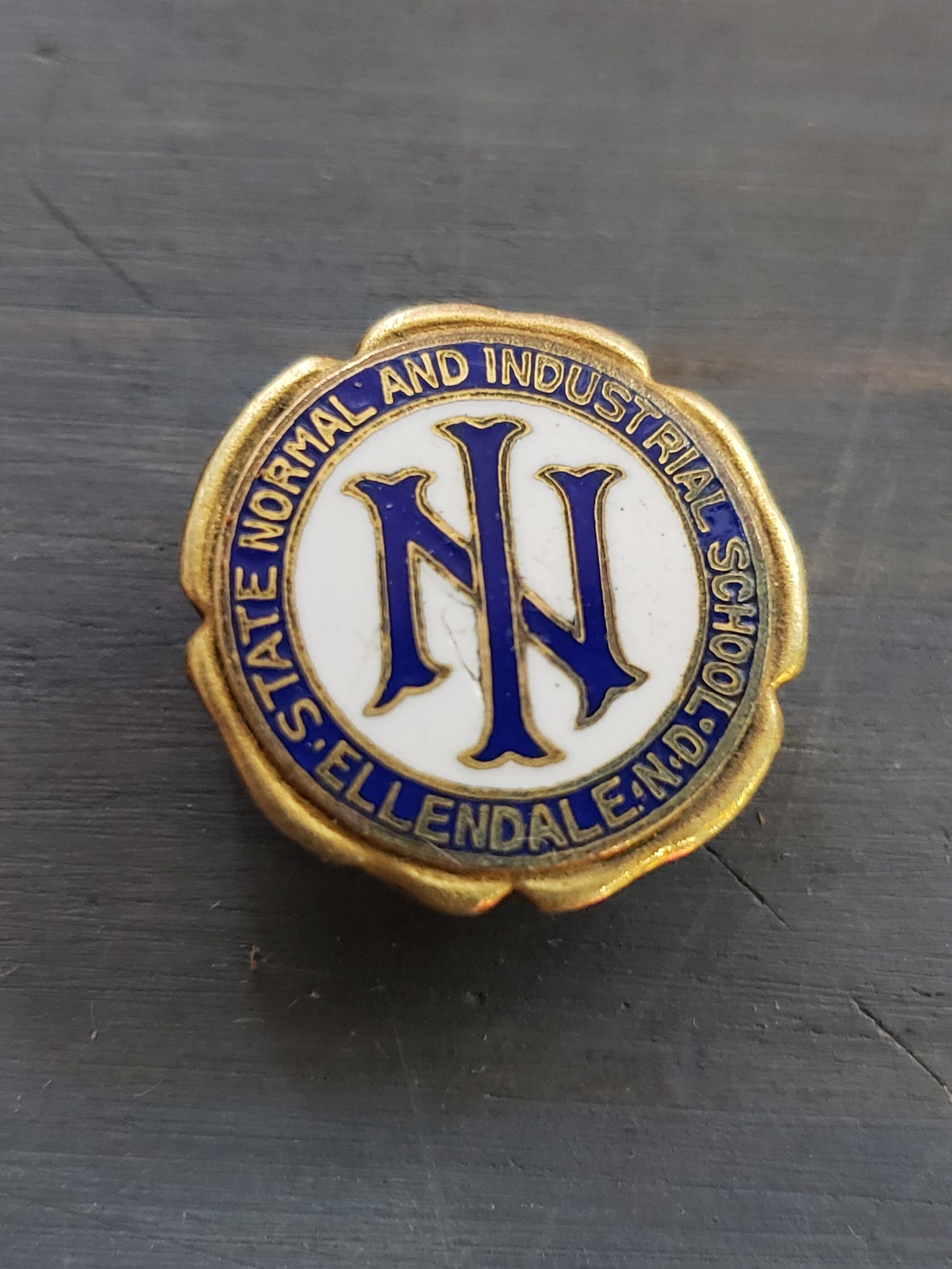 Ellendale North Dakota State Normal and Industrial School pin