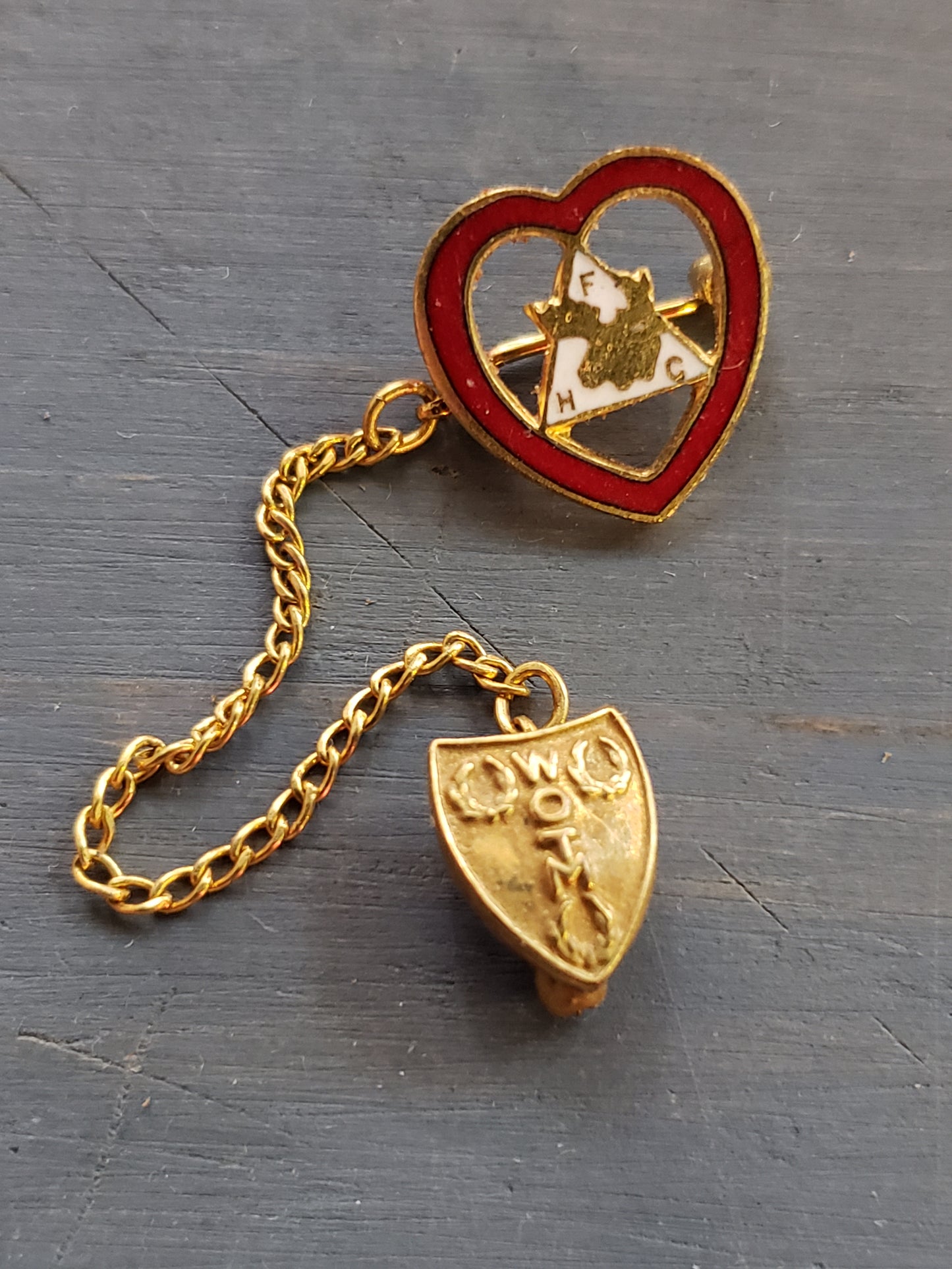Fraternal Women of the Moose lodge pin set