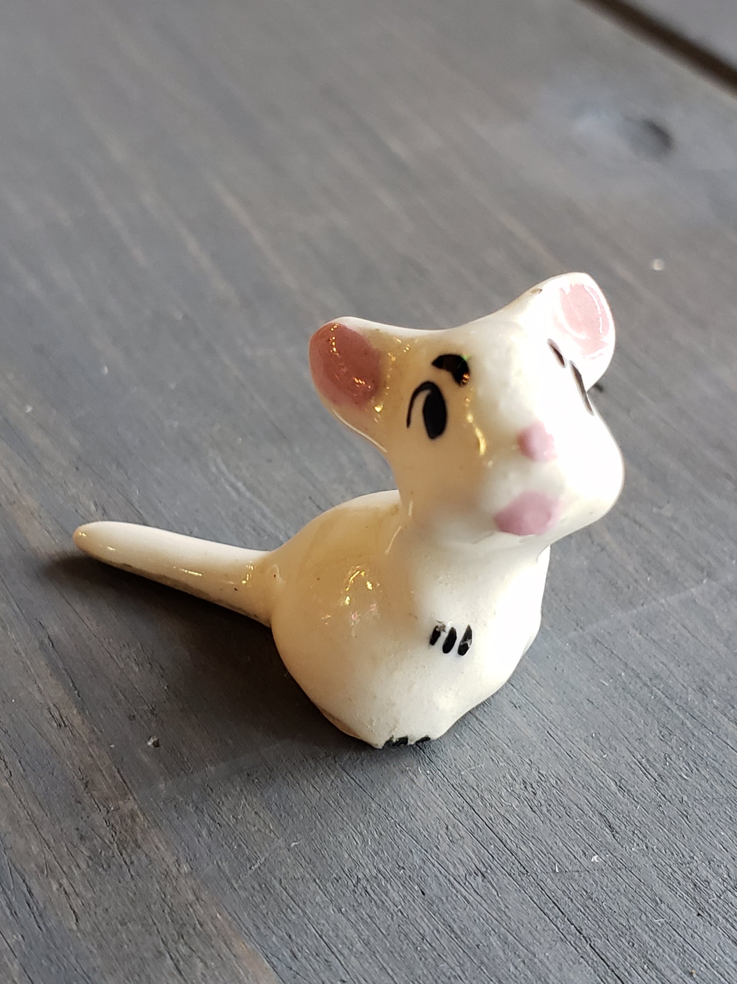 Teeny Tiny white rat