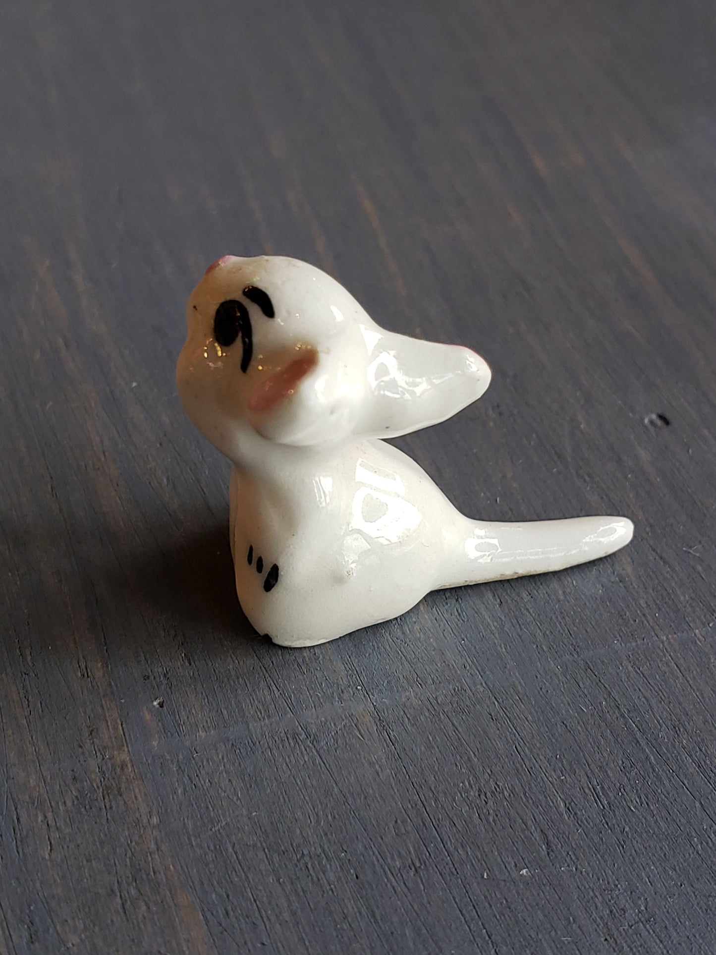 Teeny Tiny white rat