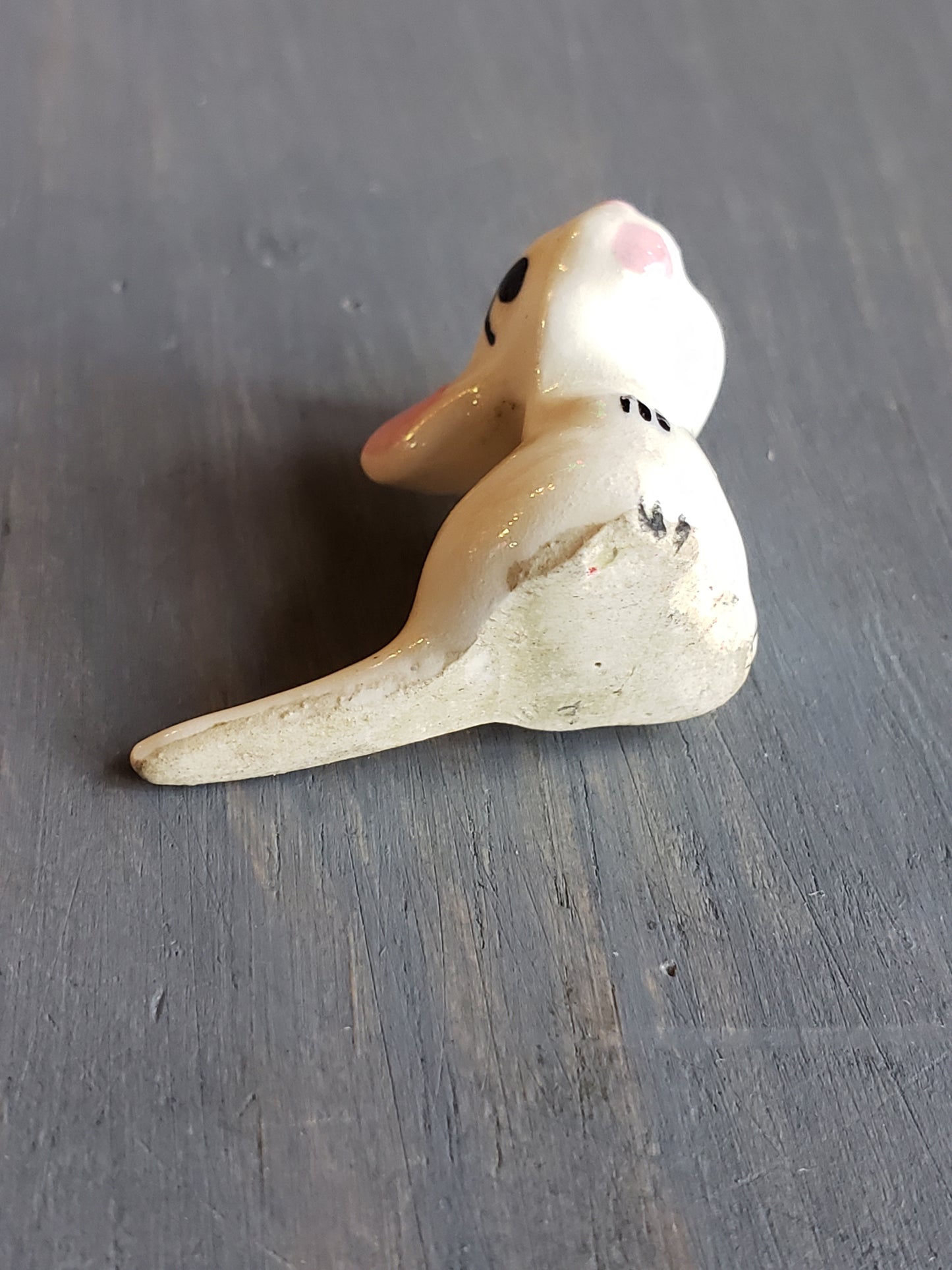 Teeny Tiny white rat