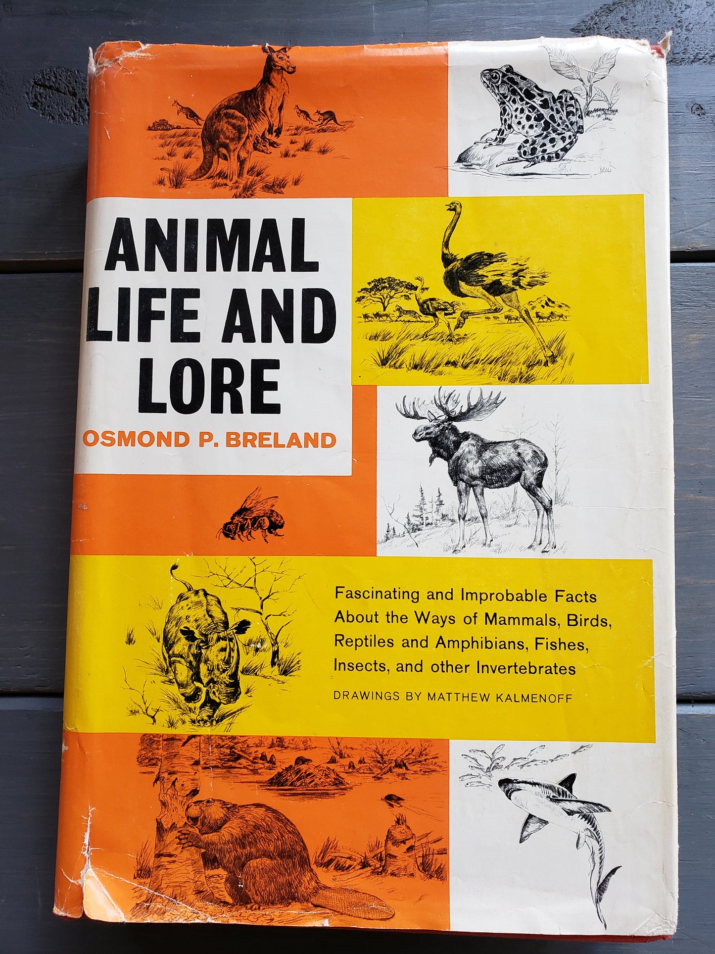 Animal Life and Lore by Osmond P. Breland (1963)