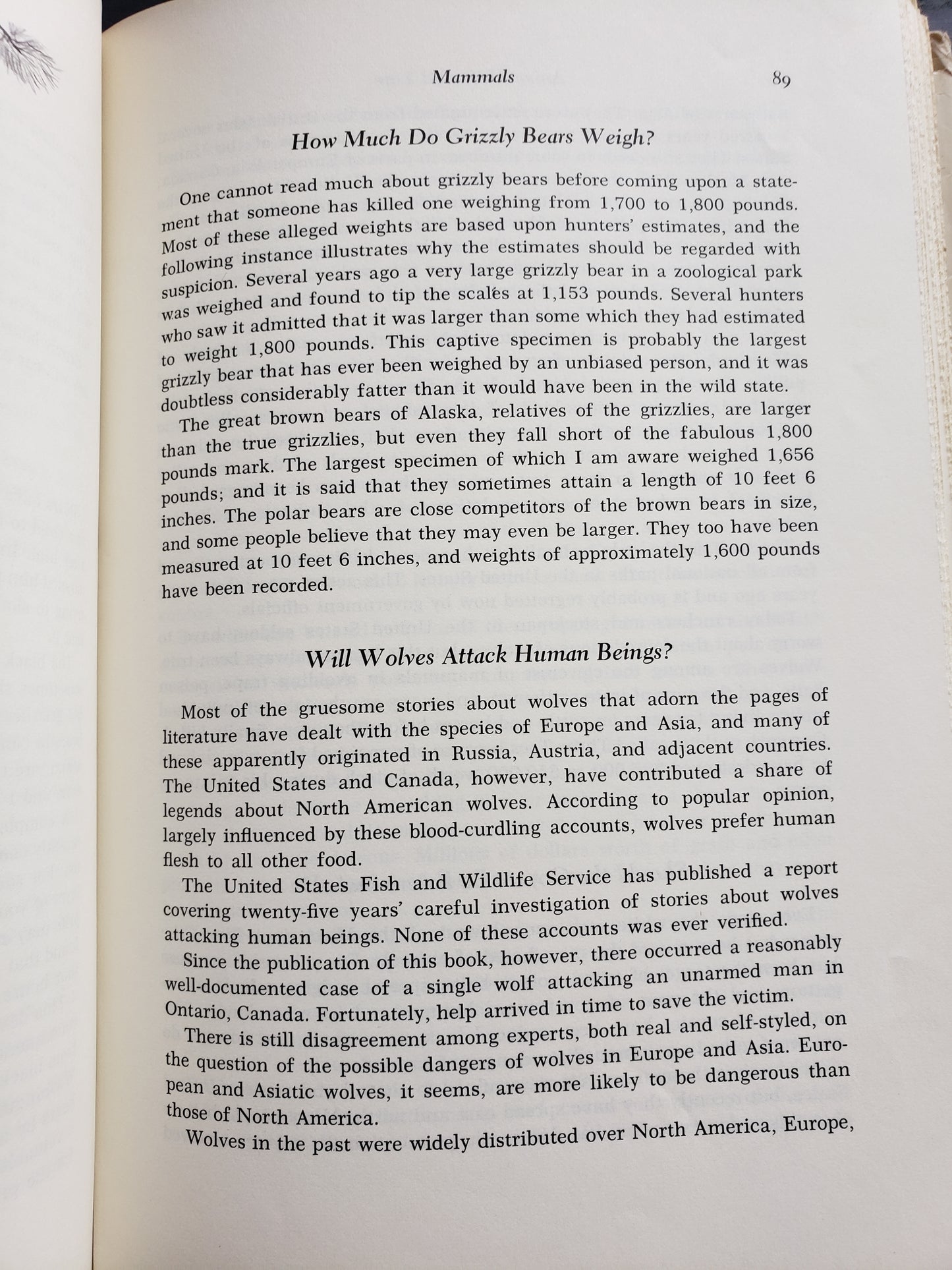 Animal Life and Lore by Osmond P. Breland (1963)