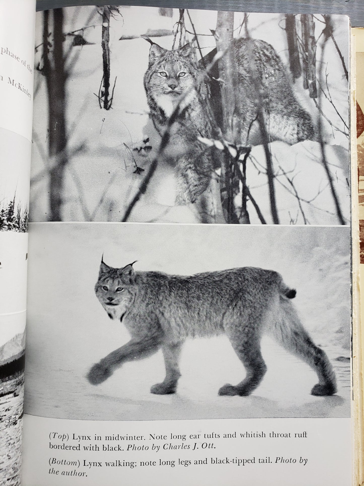 A Naturalist in Alaska by Adolph Murie