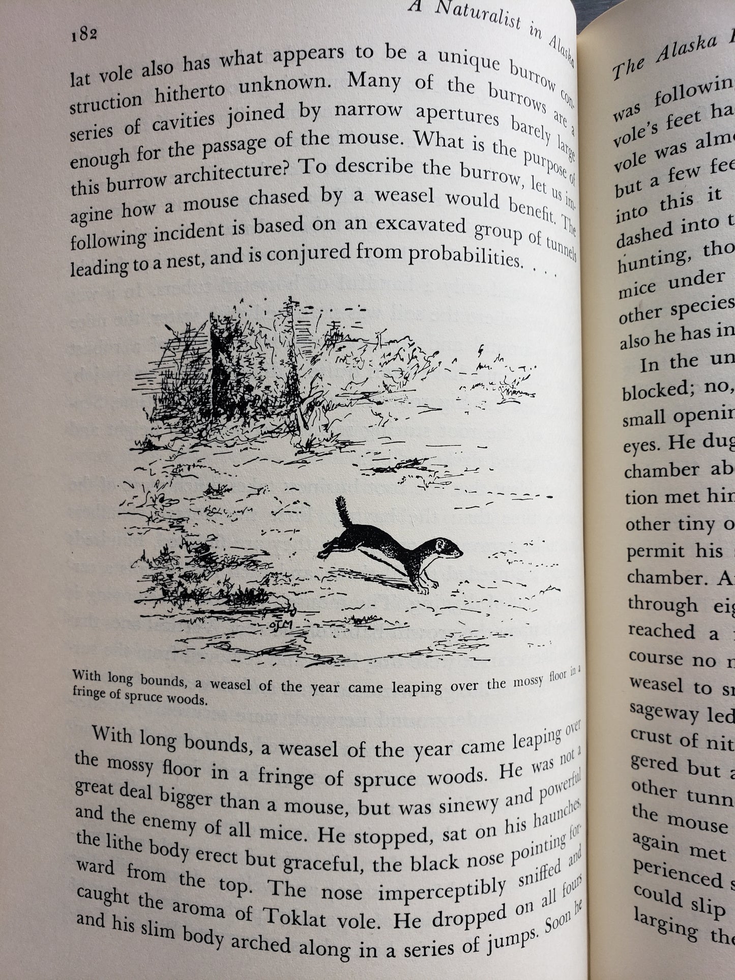 A Naturalist in Alaska by Adolph Murie