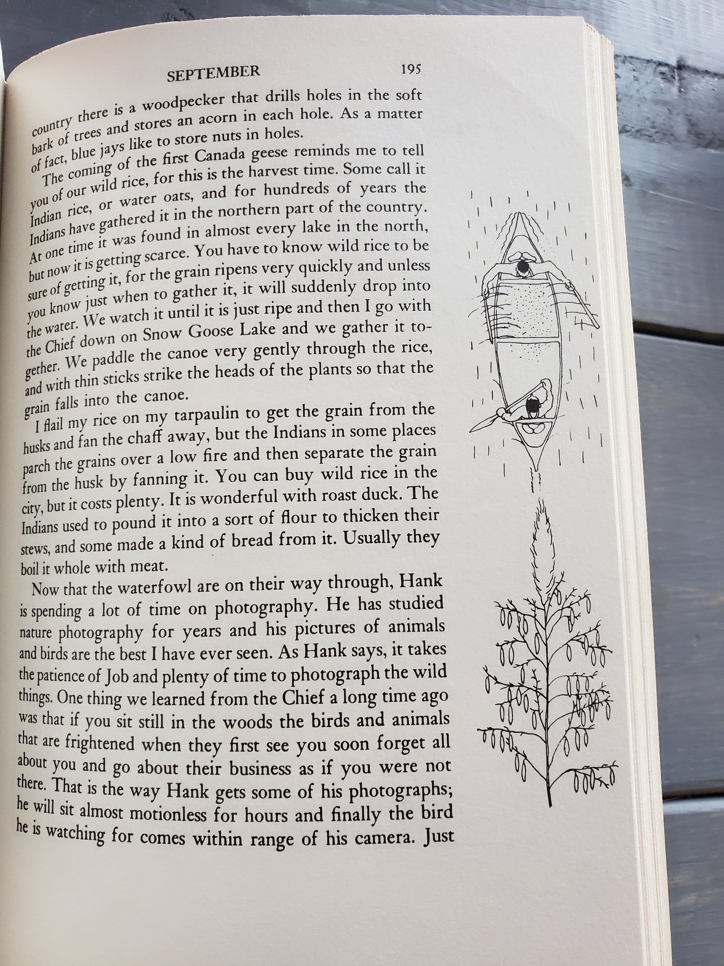 Cache Lake Country Life in the North Woods by John J. Rowlands (1959)