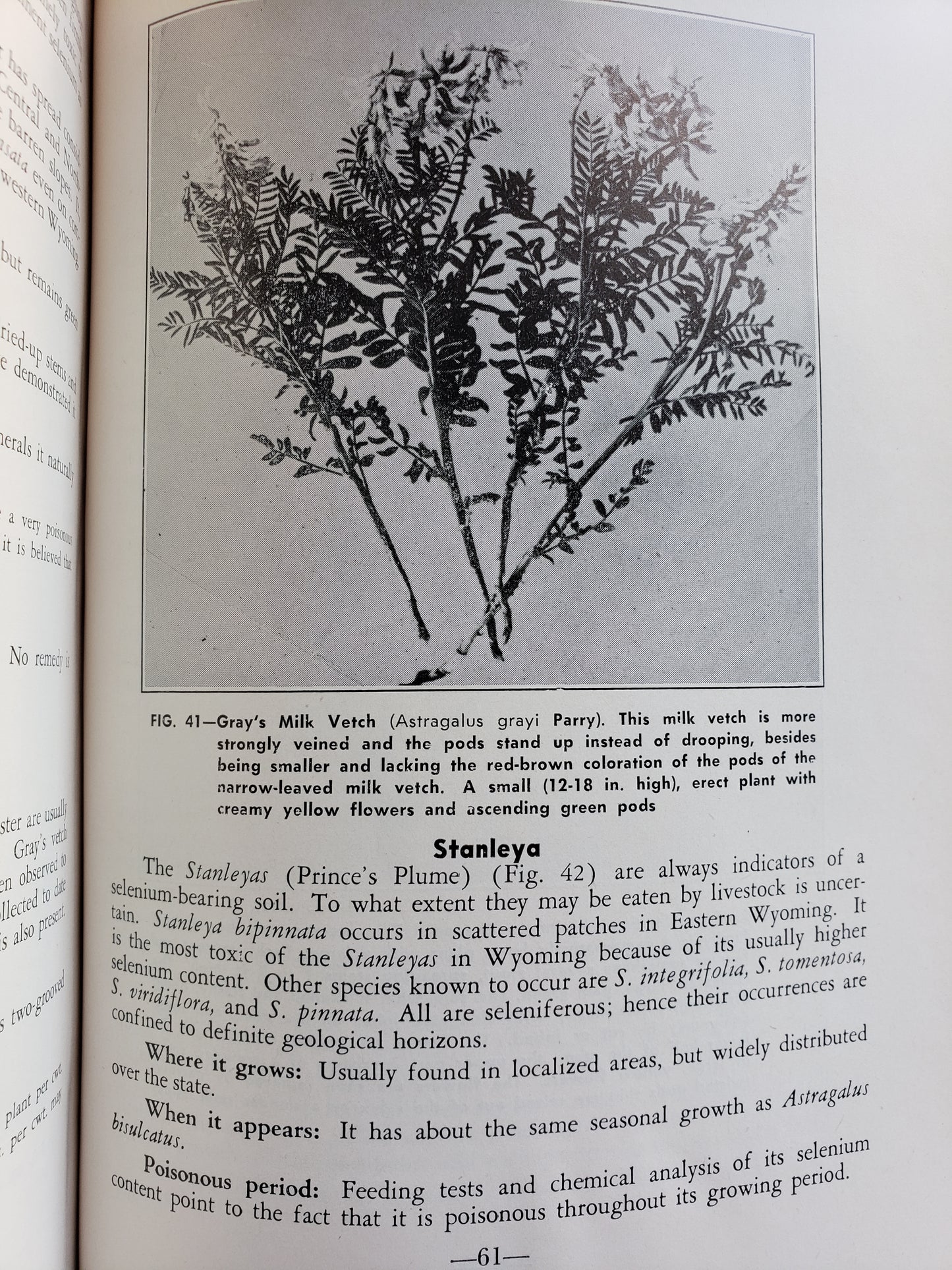 Poisonous Plants and Livestock Poisoning (1953)