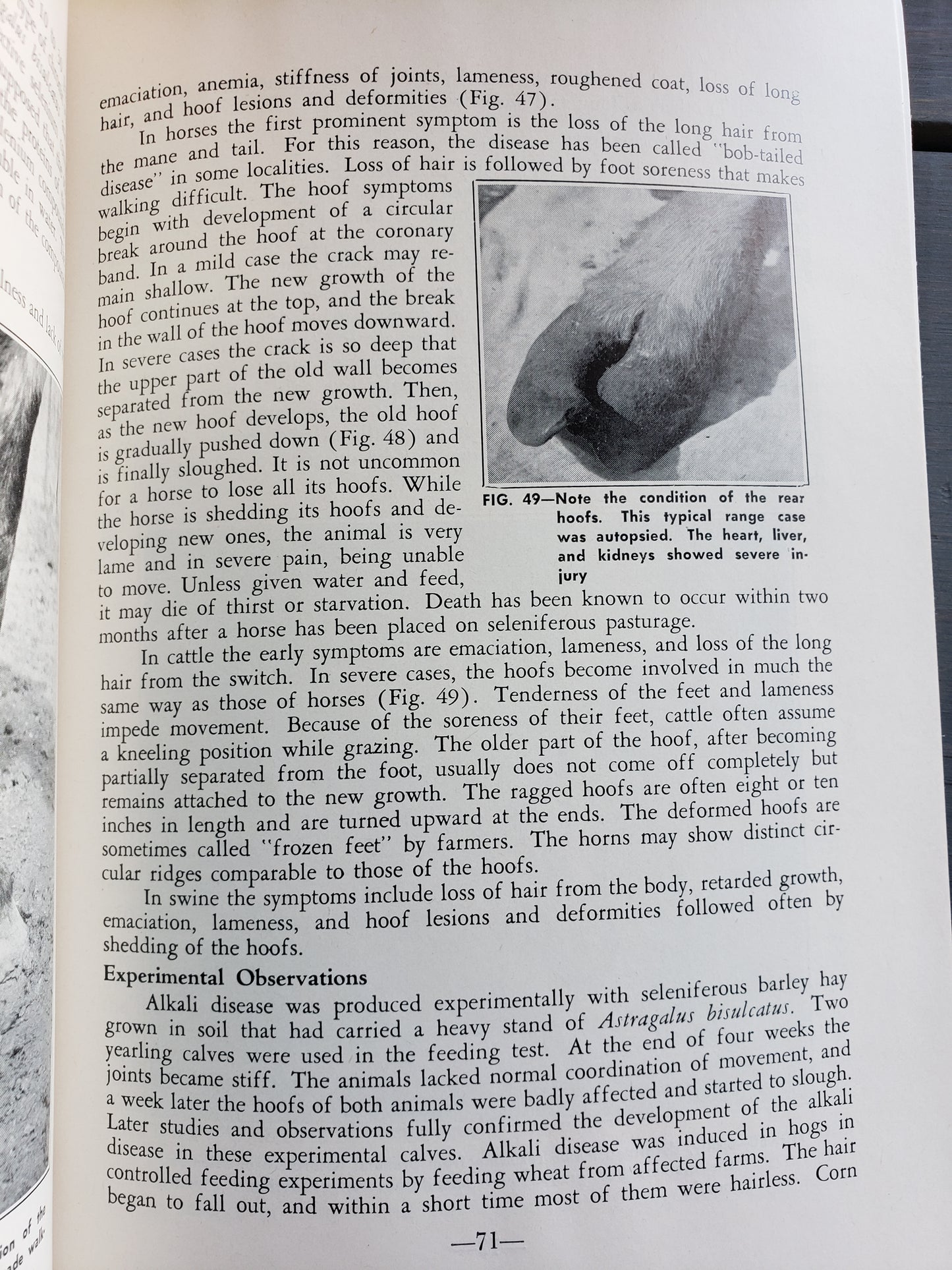 Poisonous Plants and Livestock Poisoning (1953)