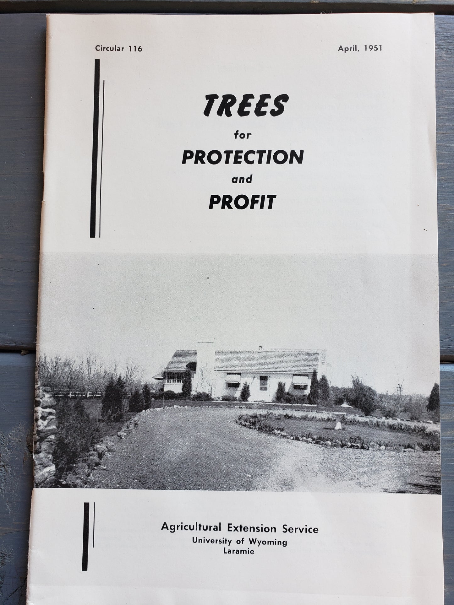Trees for Protection and Profit (1951)