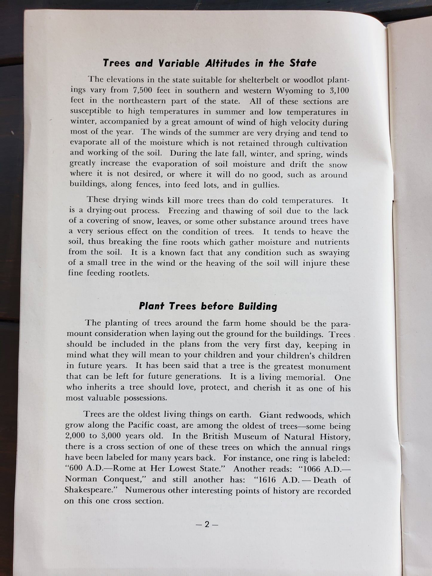 Trees for Protection and Profit (1951)
