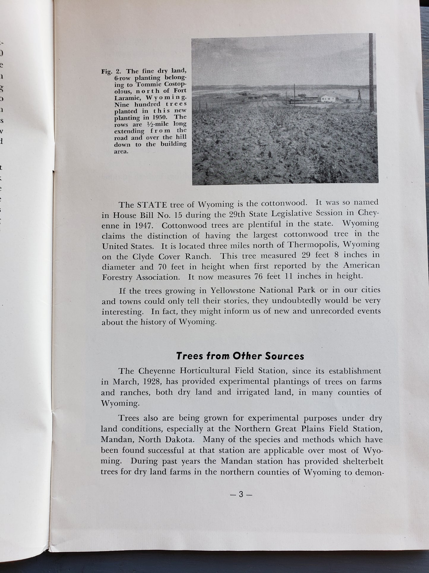 Trees for Protection and Profit (1951)