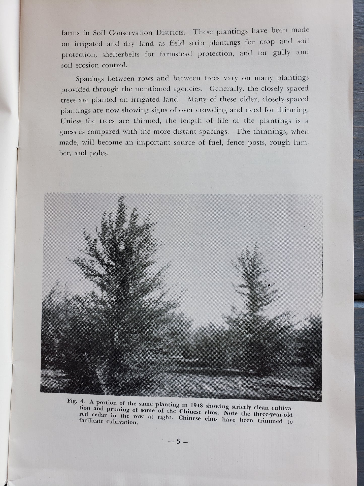 Trees for Protection and Profit (1951)