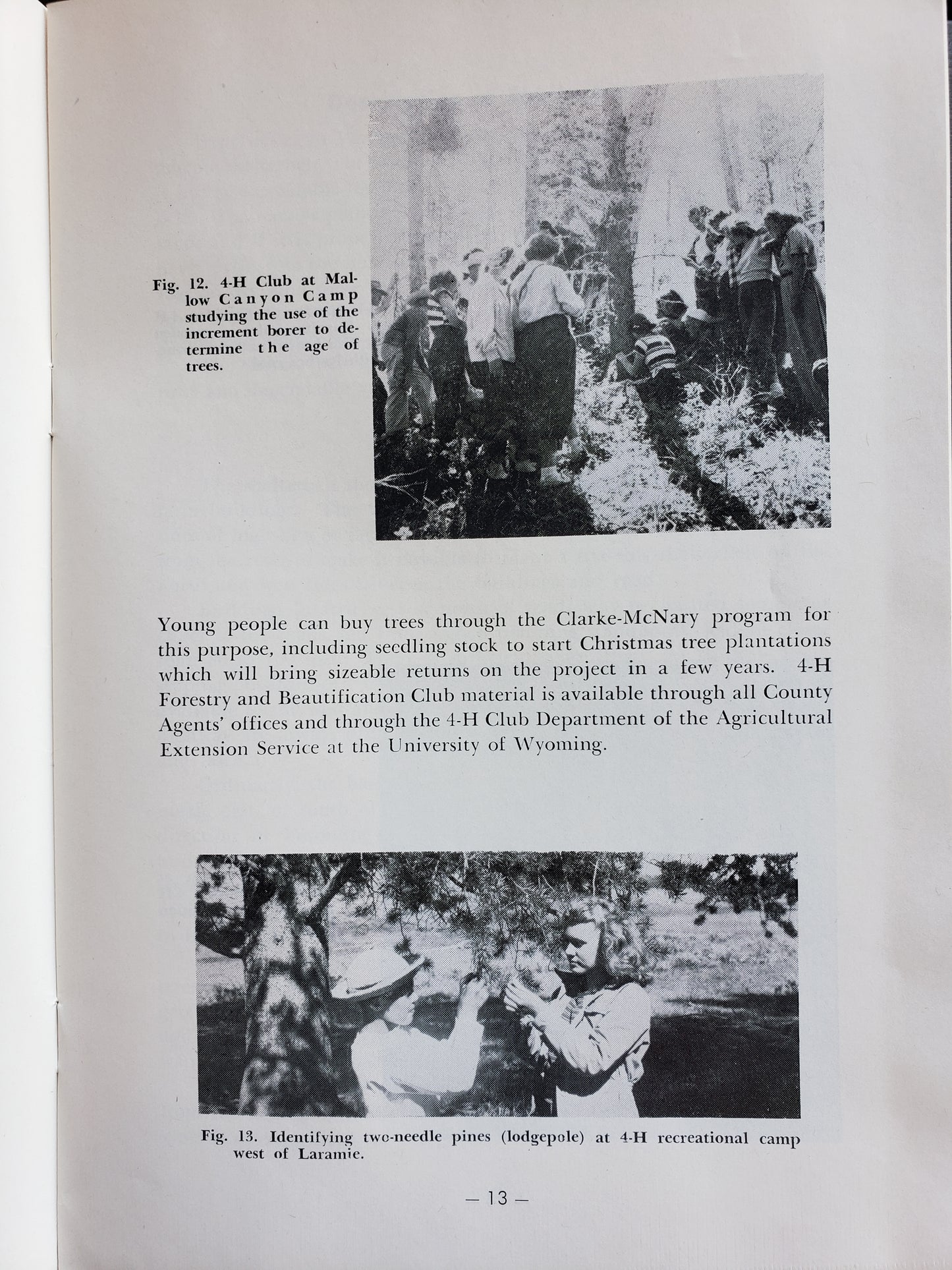 Trees for Protection and Profit (1951)