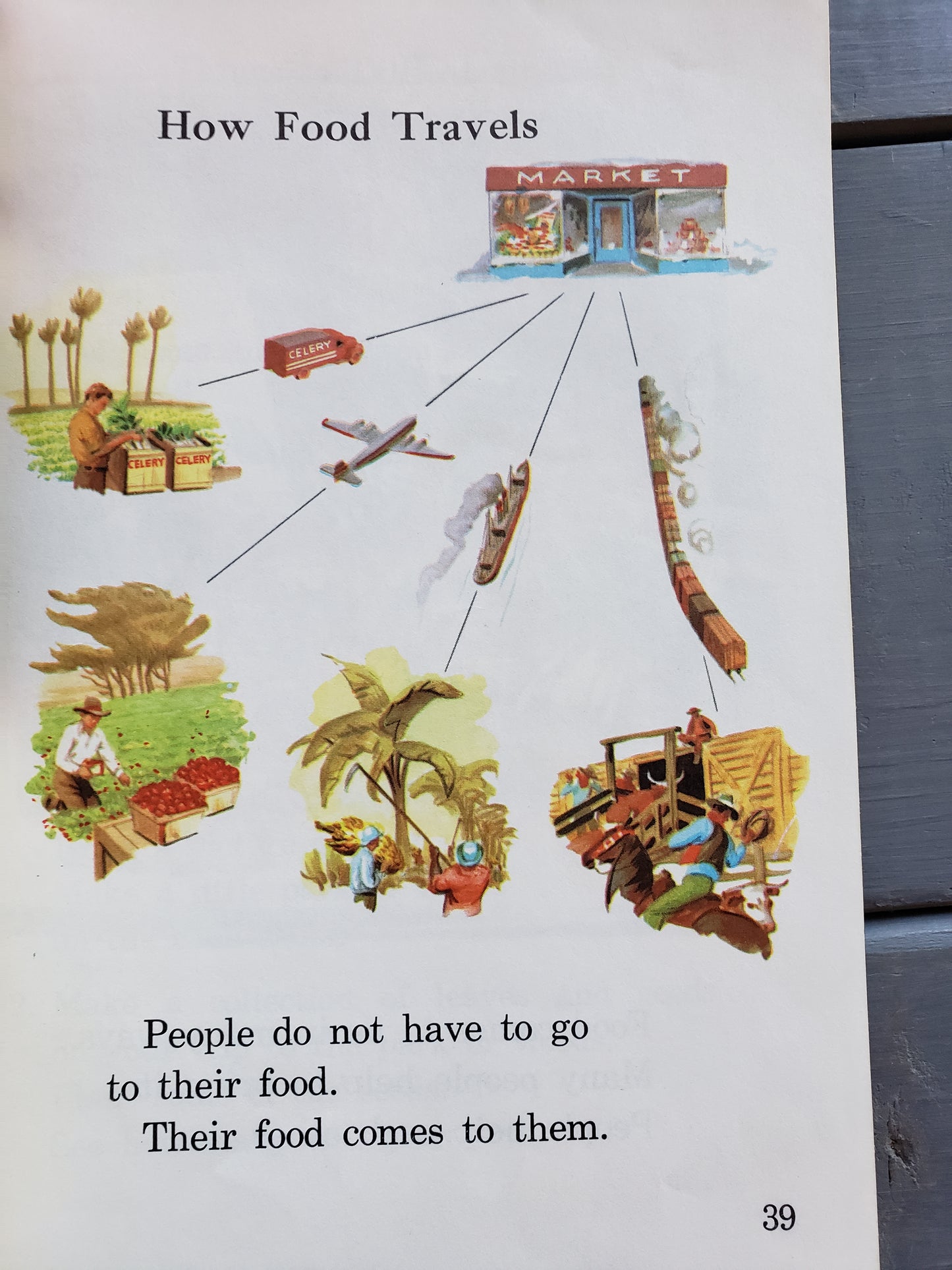 (1959) Science for Here and Now by Herman and Nina Schneider