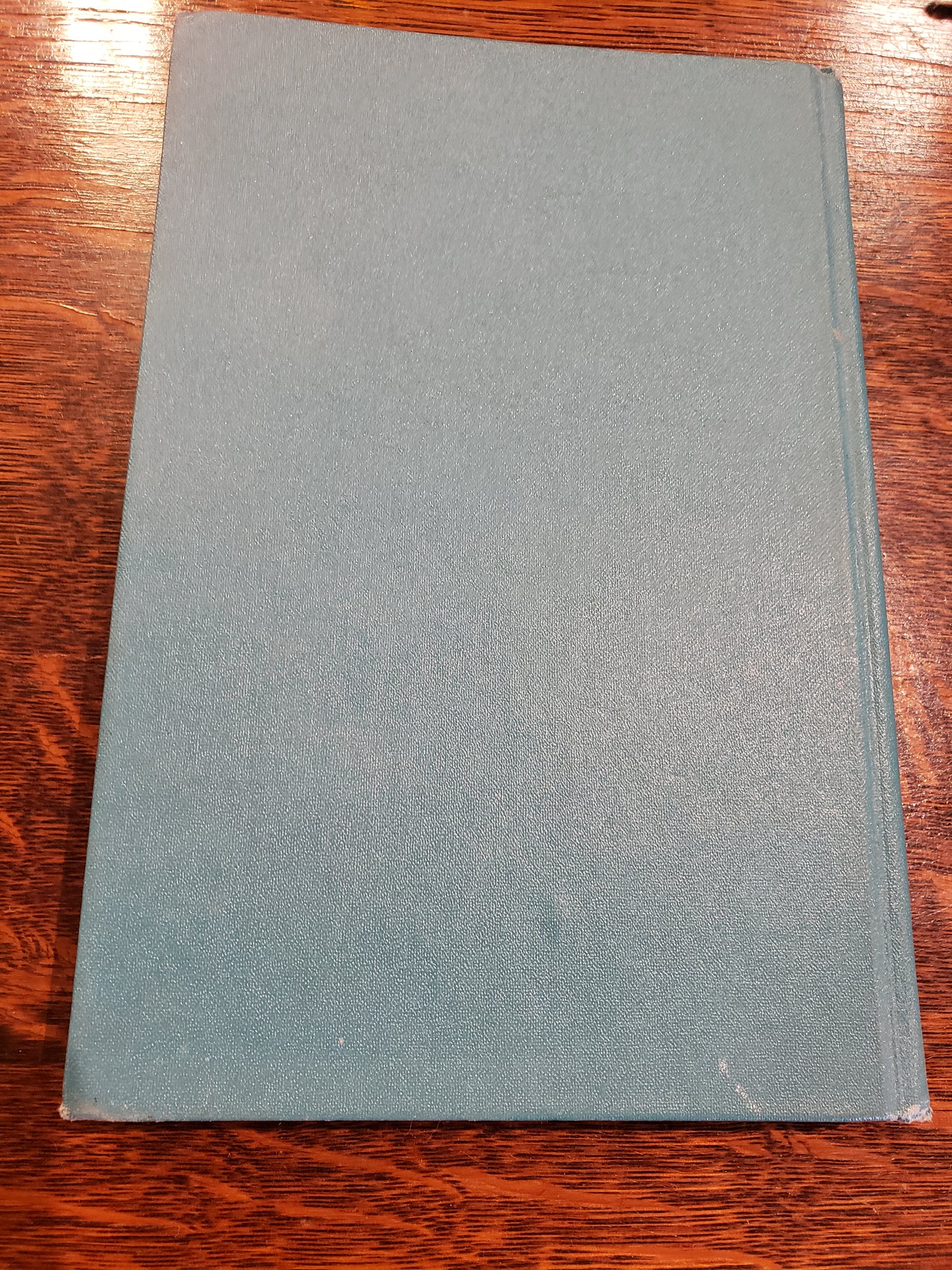 The Saturday Gang by Lee Kingman (1961)