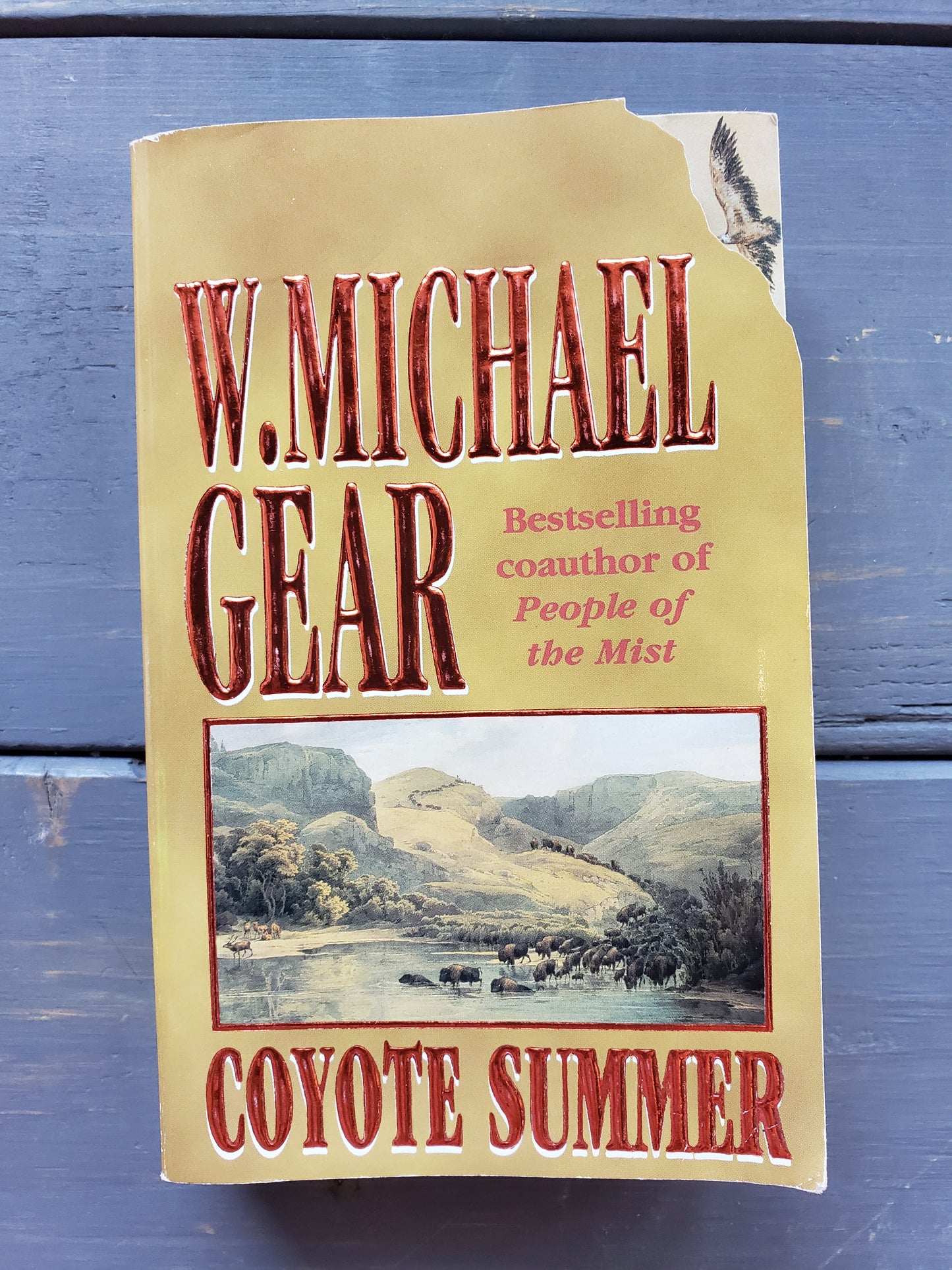 W. Michael Gear ... Coyote Summer