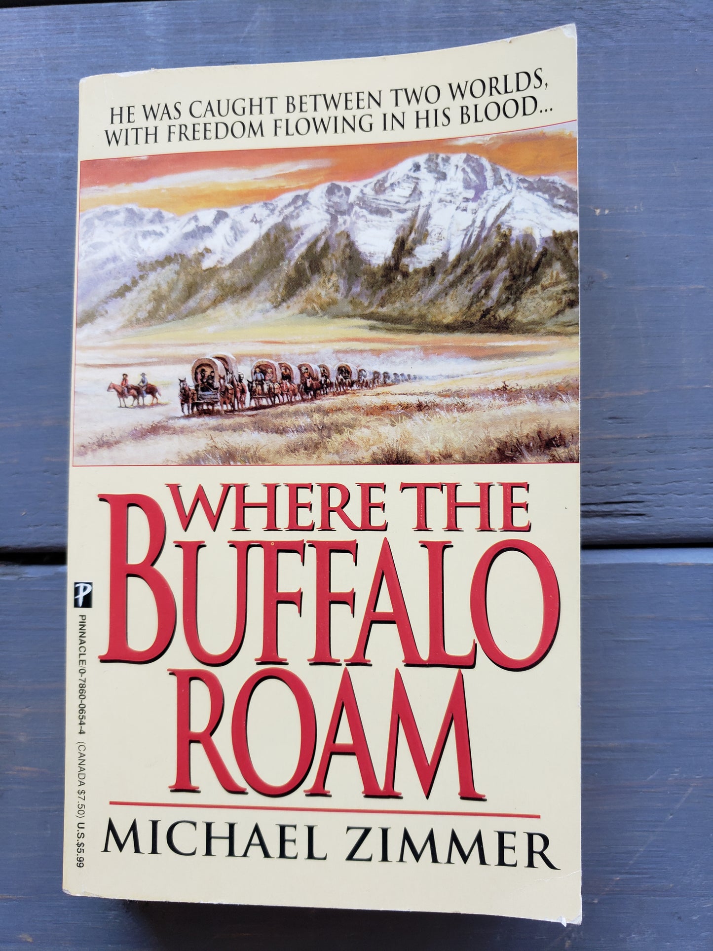 Where the Buffalo Roam by Michael Zimmer