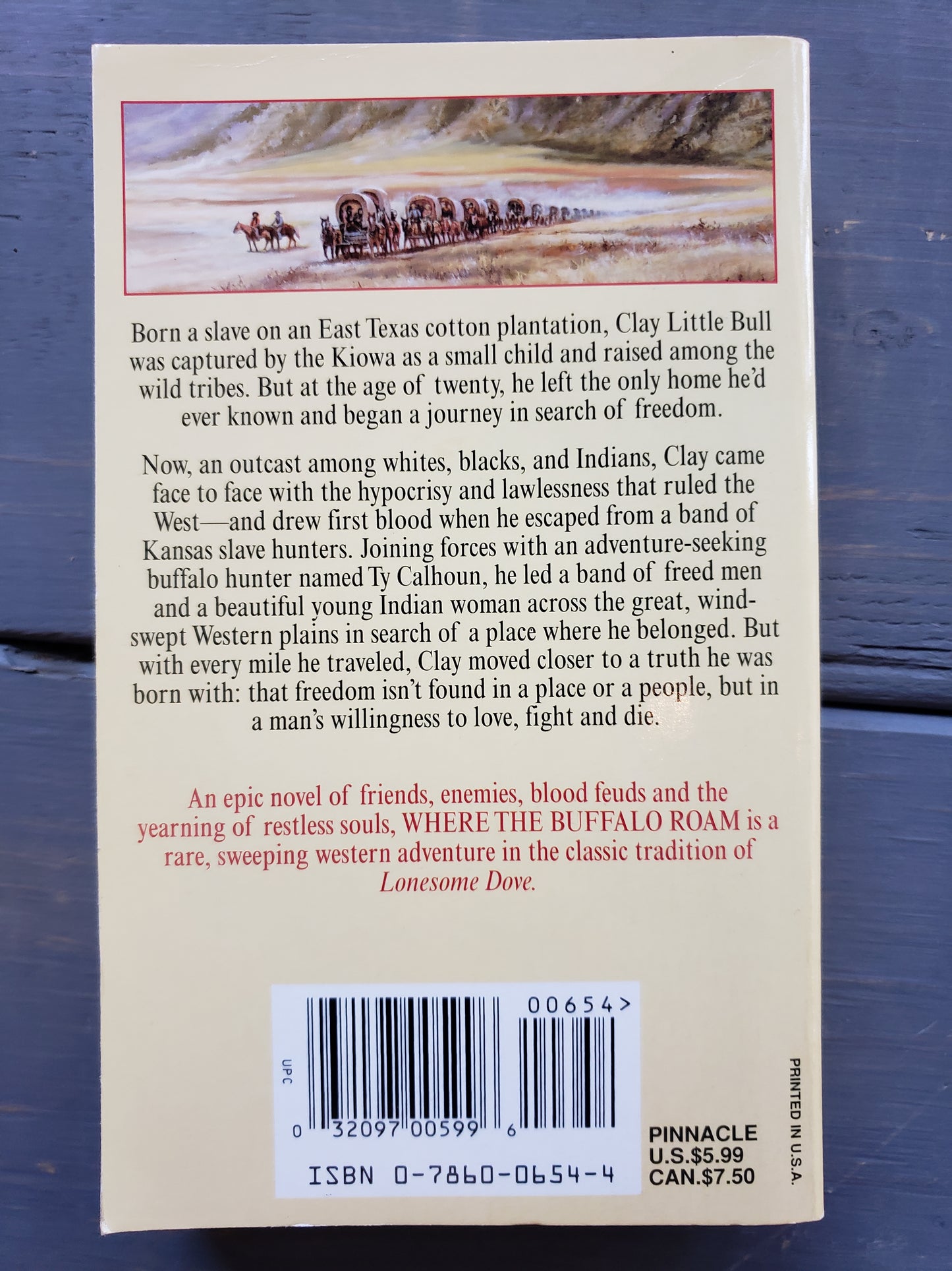 Where the Buffalo Roam by Michael Zimmer