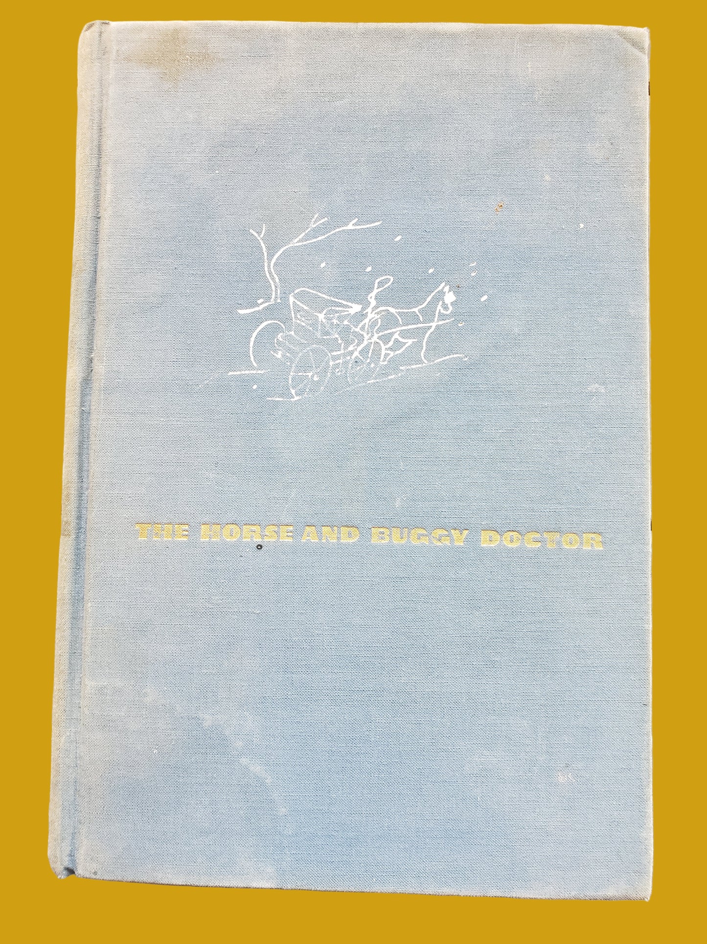 The Horse and Buggy Doctor (1938) by Arthur E. Hertzler MD