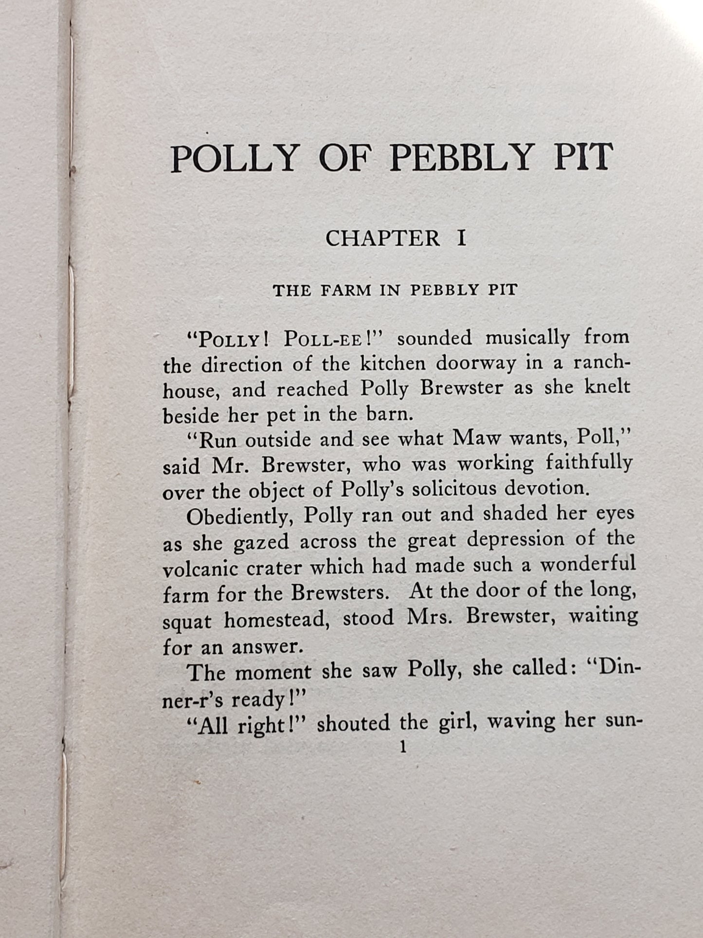Polly of Pebbly Pit (1922) by Lillian Elizabeth Roy