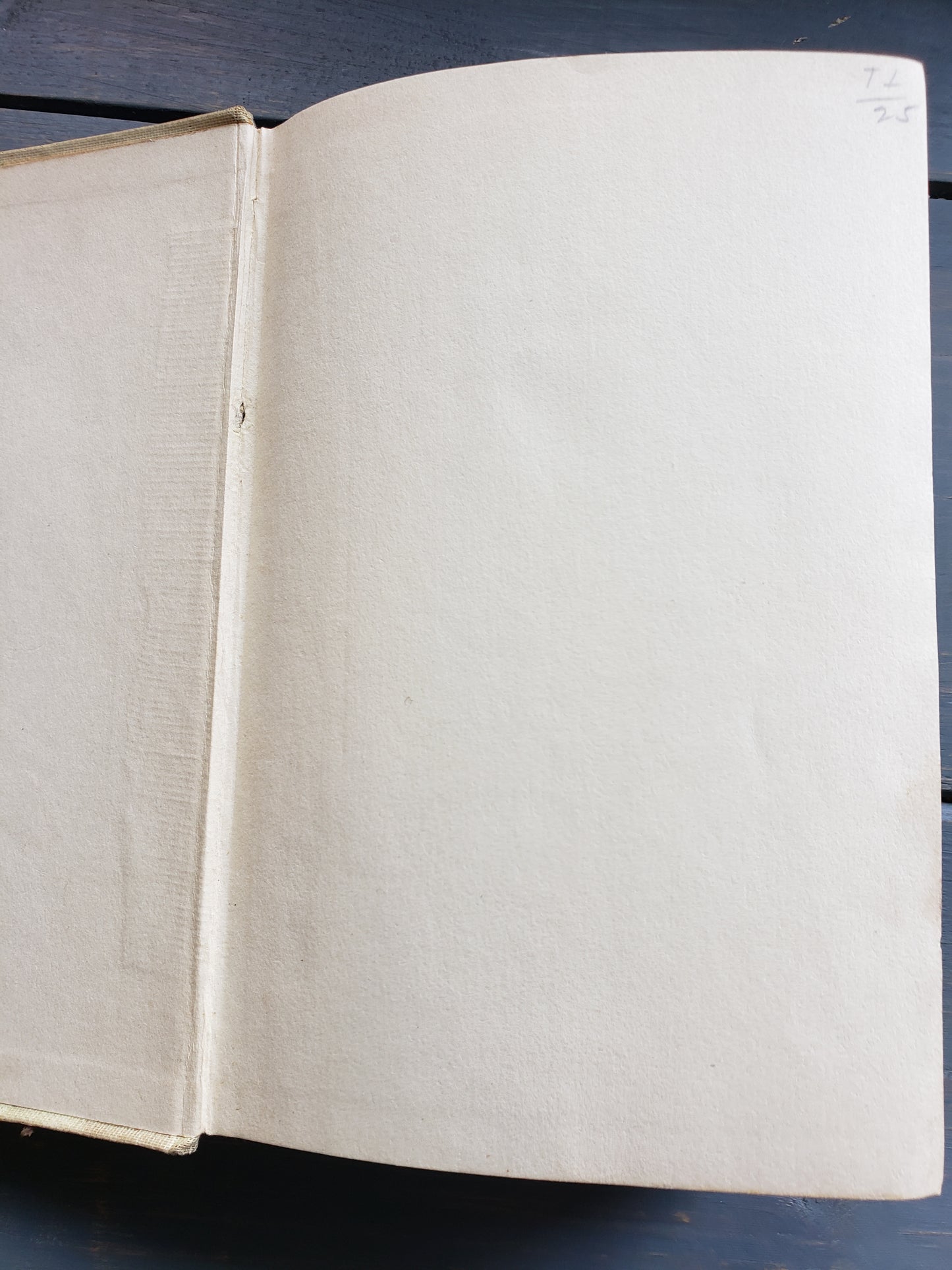 Ishmael by Mrs. Emma Southworth (early 1900s)