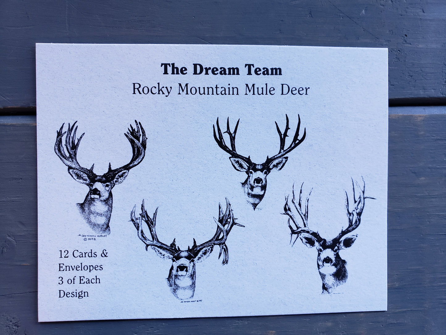 The Dream Team note card set (12 cards & envelopes)