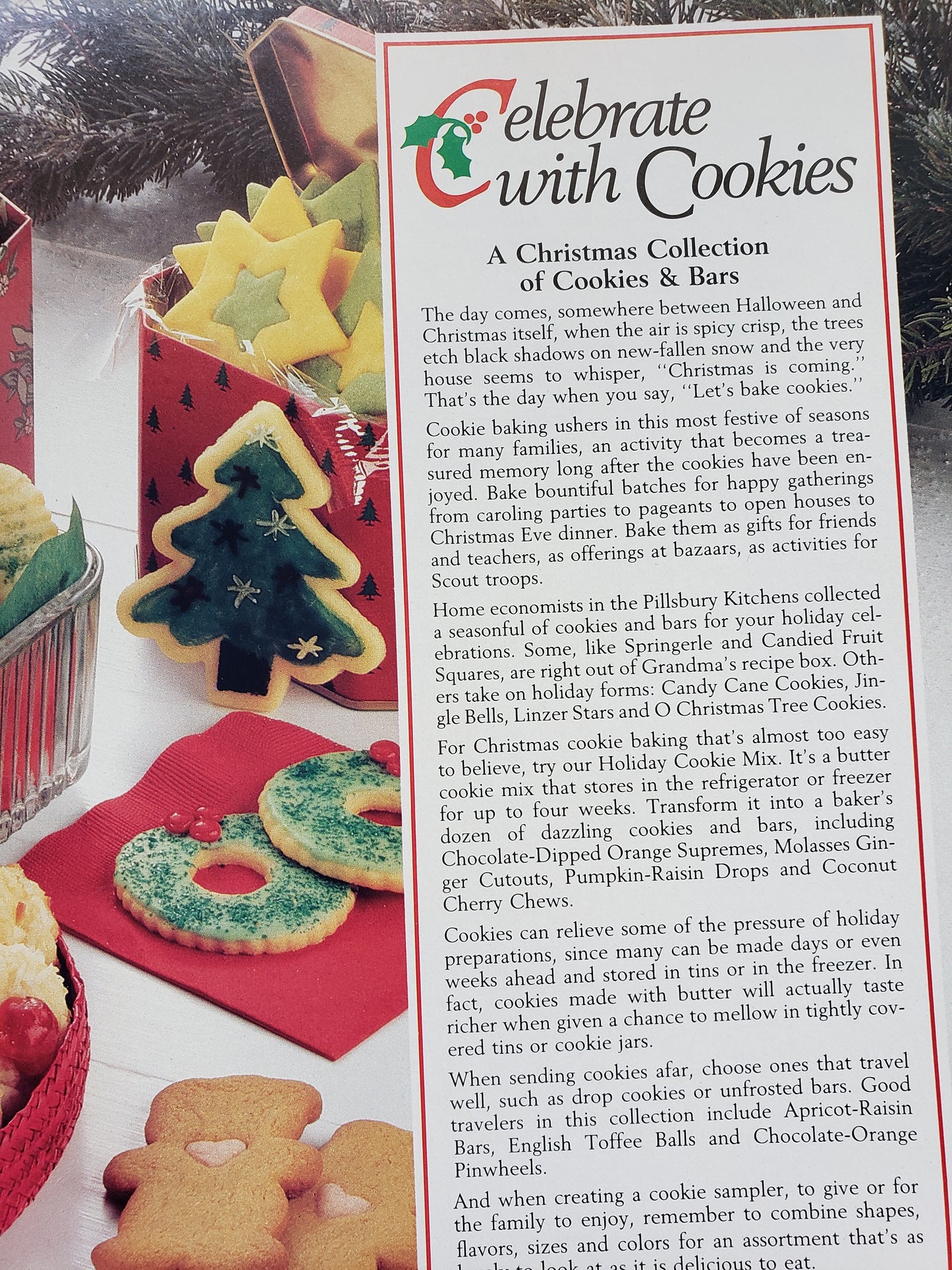 The Pillsbury Family Christmas Cookbook