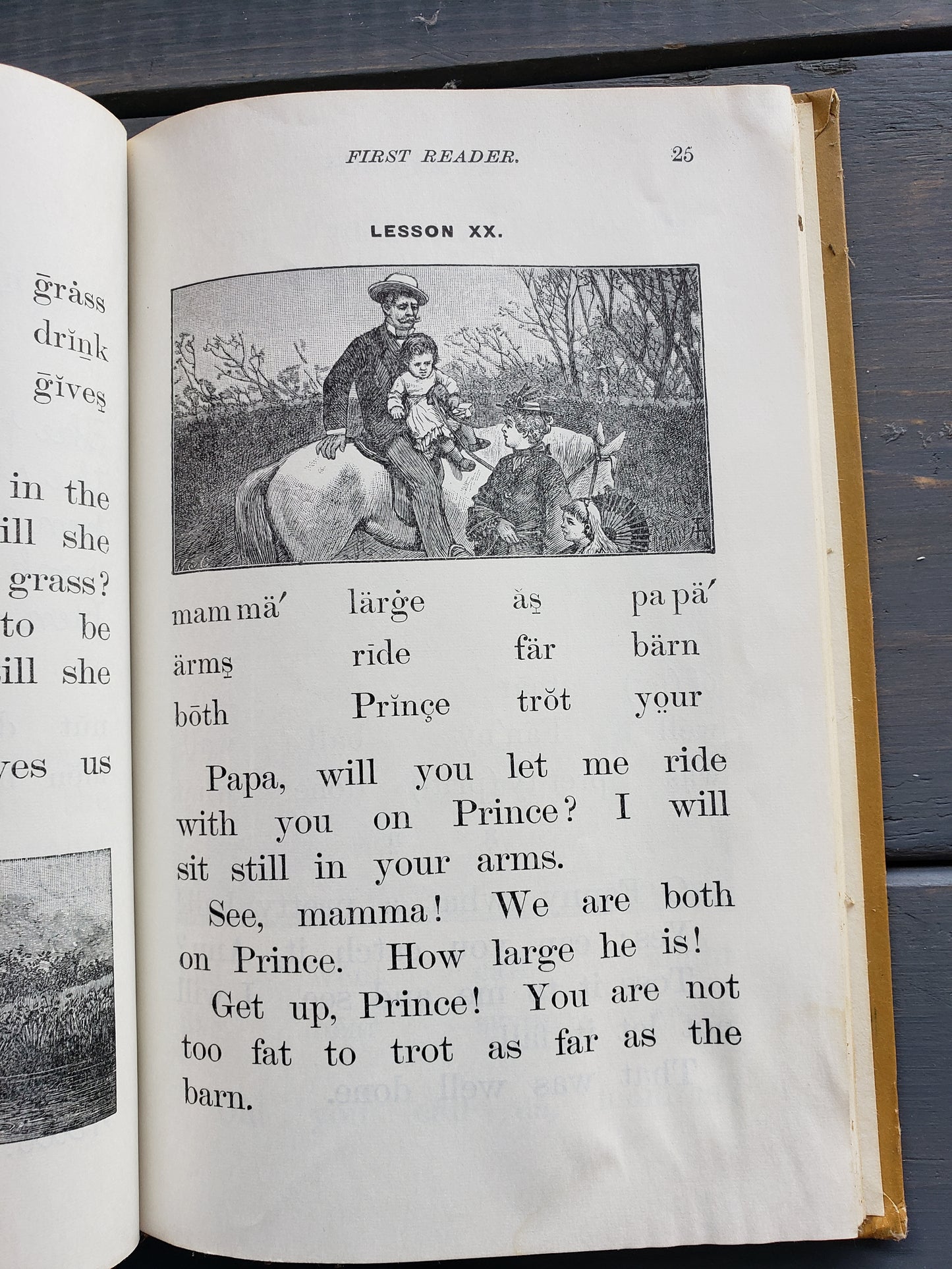 McGuffey's First Eclectic Reader (1920)