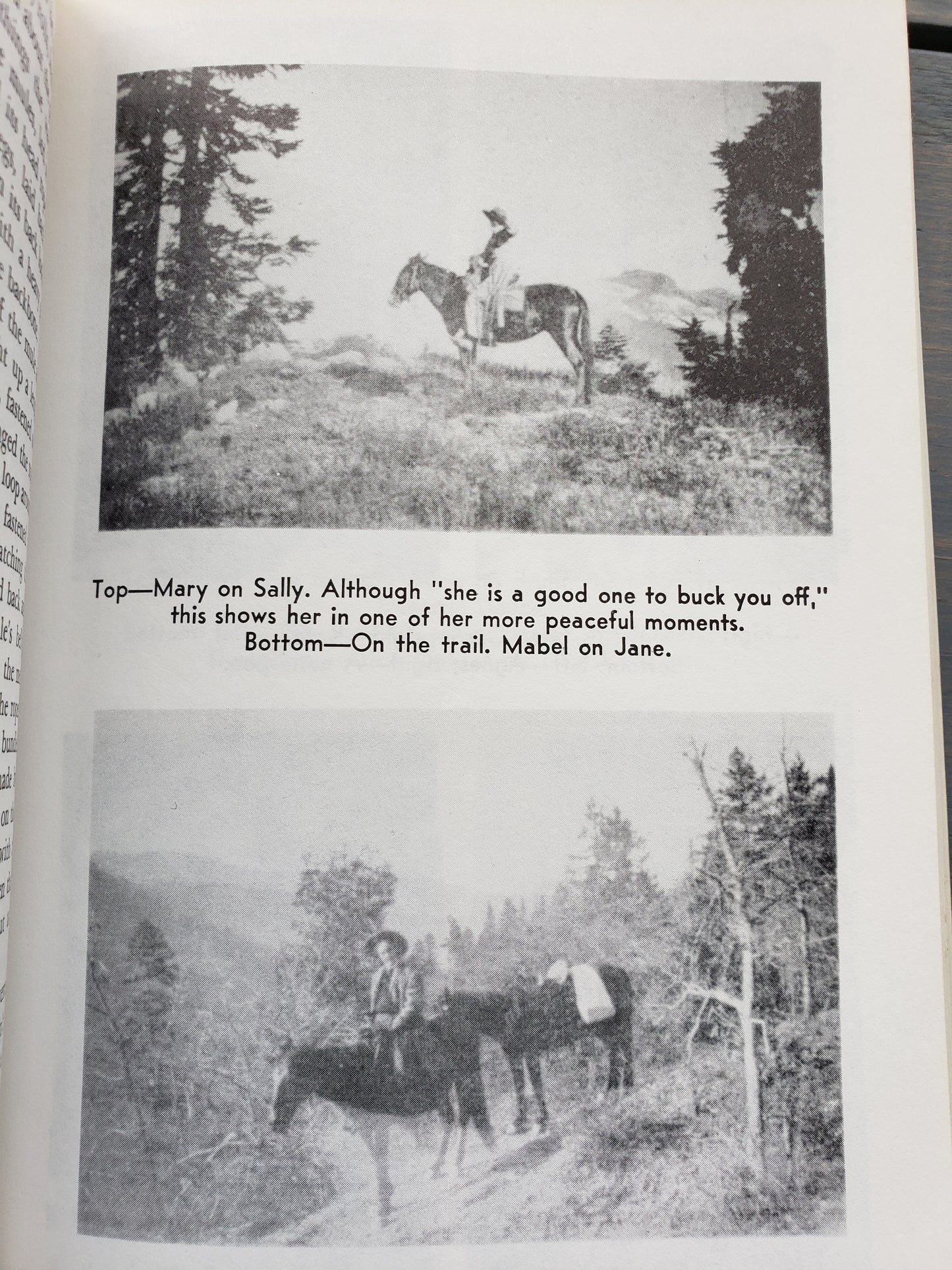 in the land of the Grasshopper Song by Mary Arnold & Mabel Reed (1980)